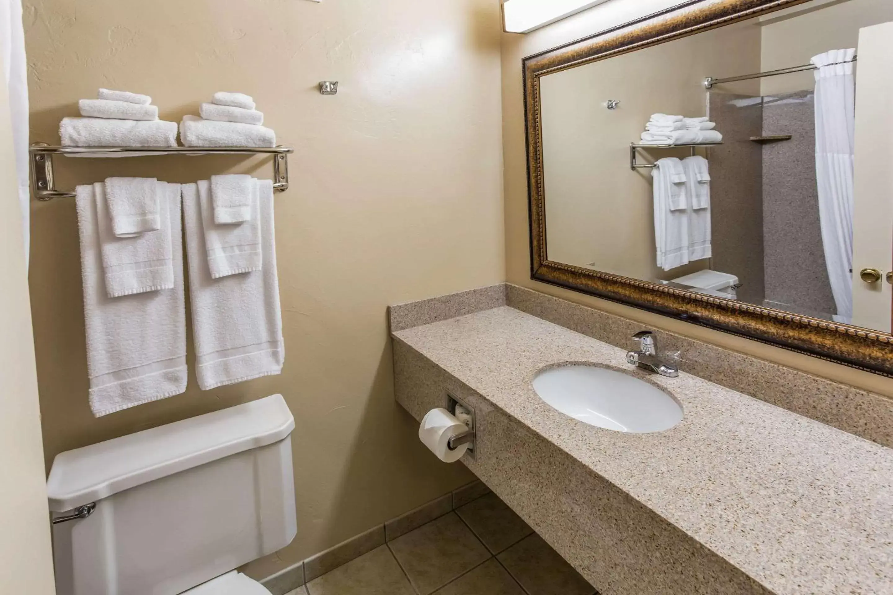 Bathroom in Quality Inn & Suites Downtown