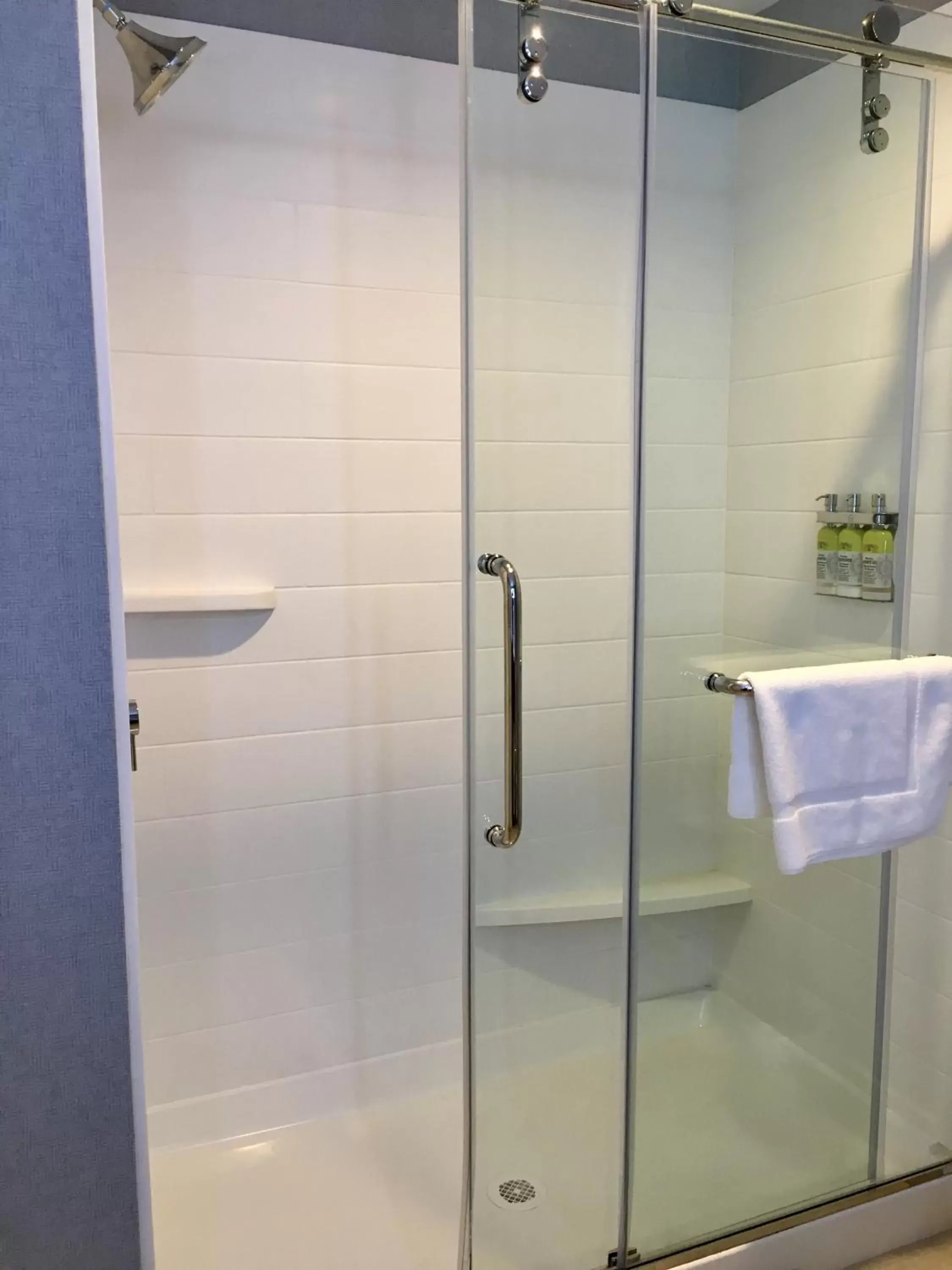 Bathroom in Holiday Inn Express - Grand Island, an IHG Hotel