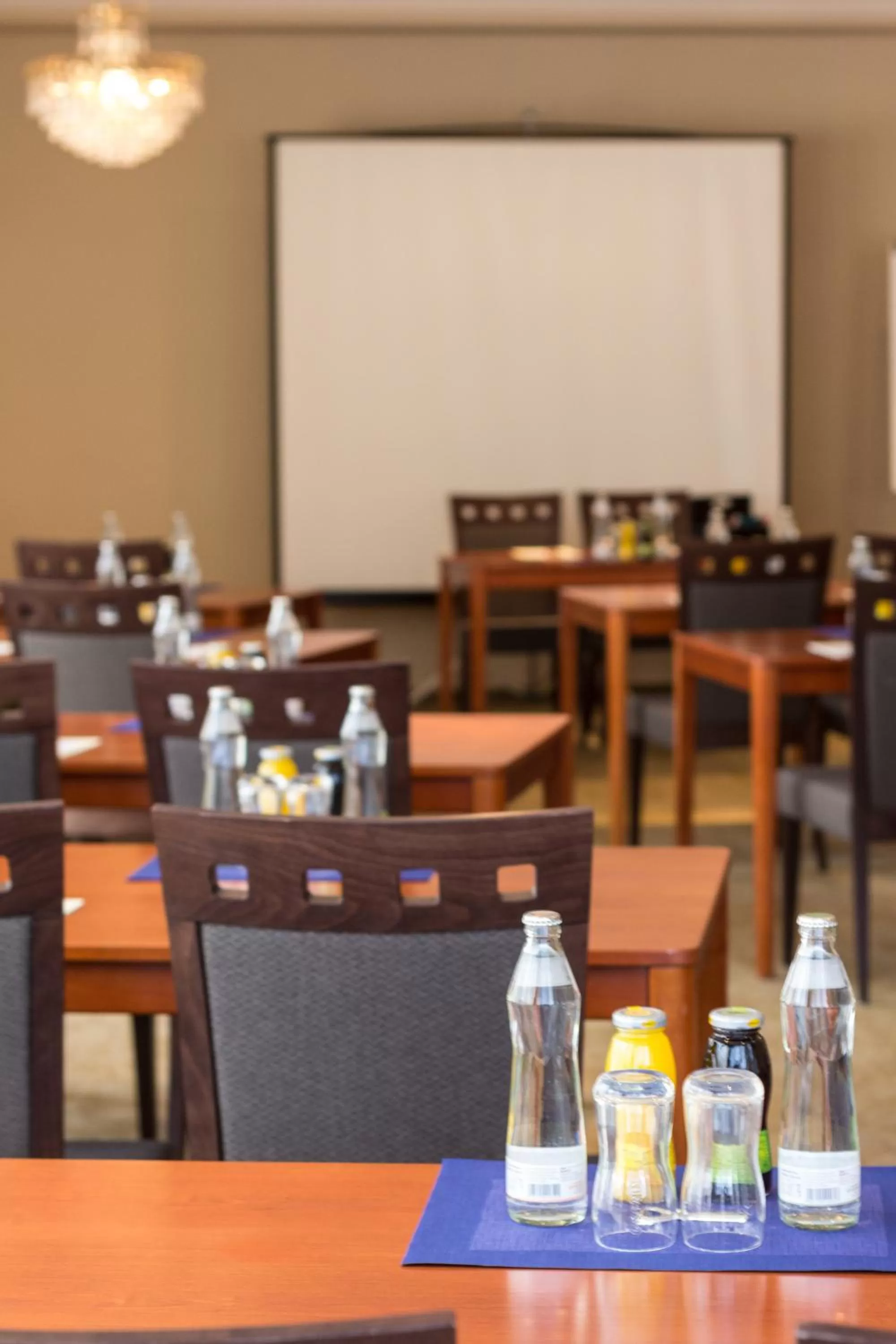 Meeting/conference room in Hotel Landskron