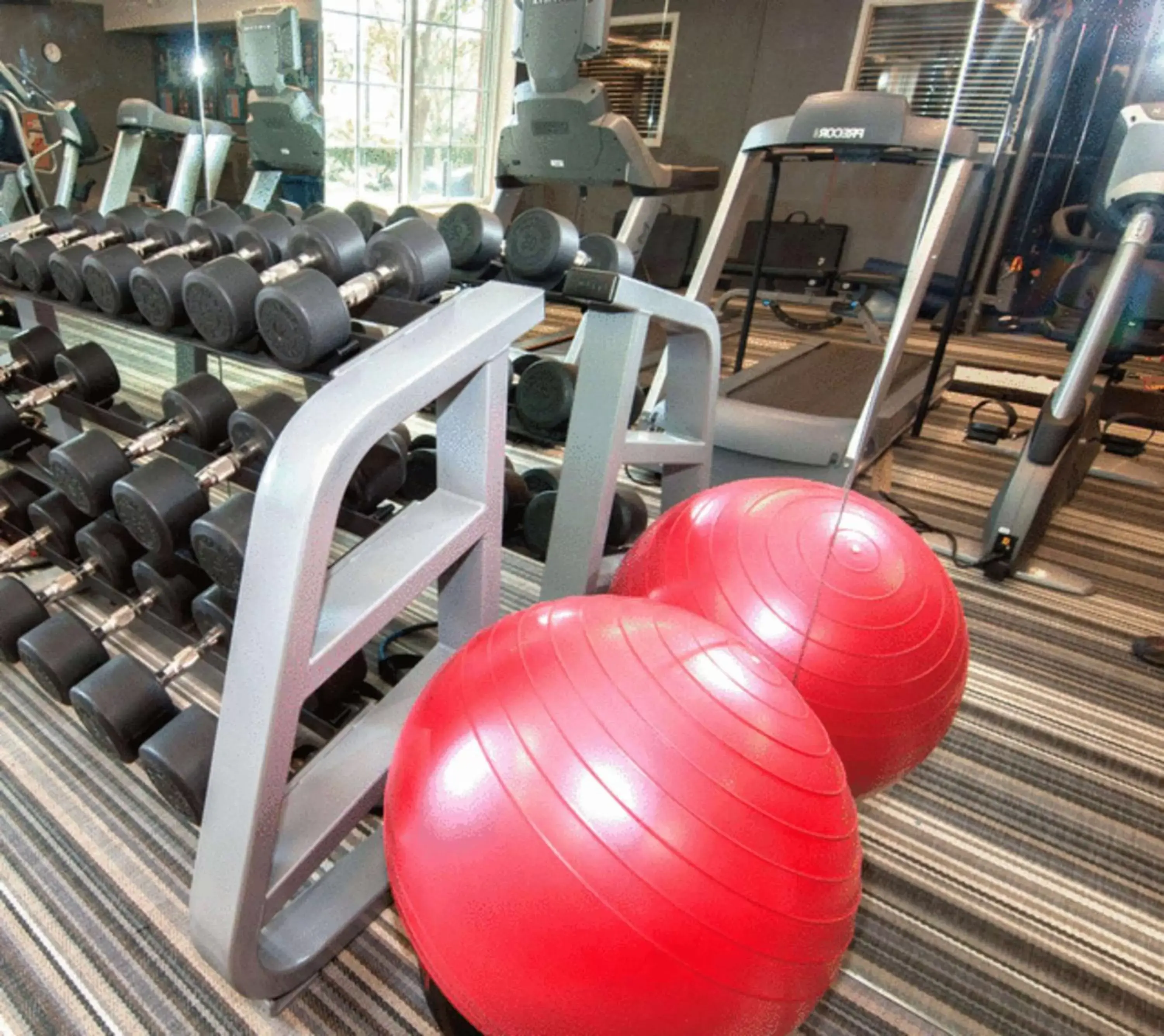 Spa and wellness centre/facilities, Fitness Center/Facilities in Sonesta Simply Suites Anaheim
