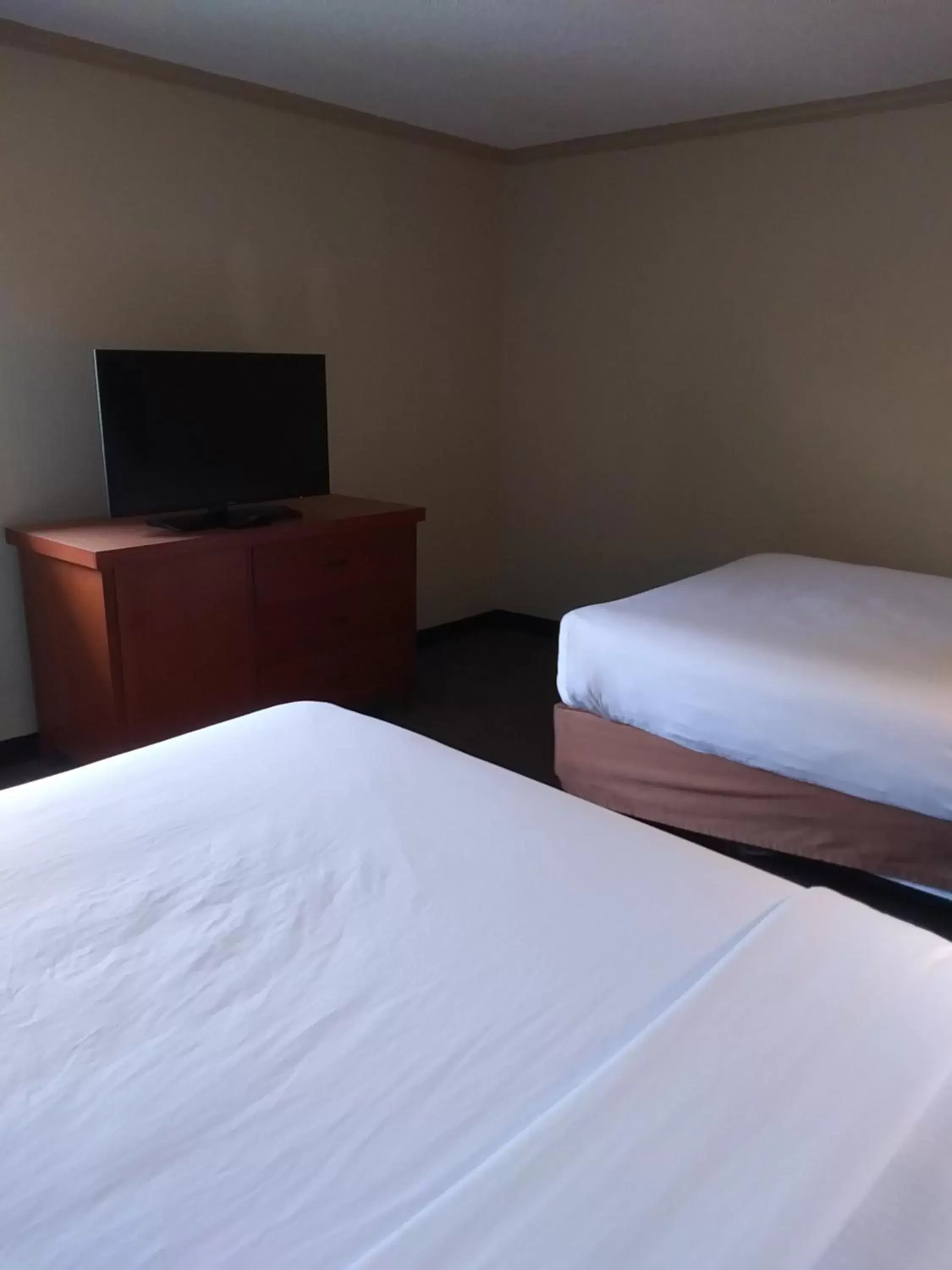 TV and multimedia, Bed in La Quinta by Wyndham Columbus State University
