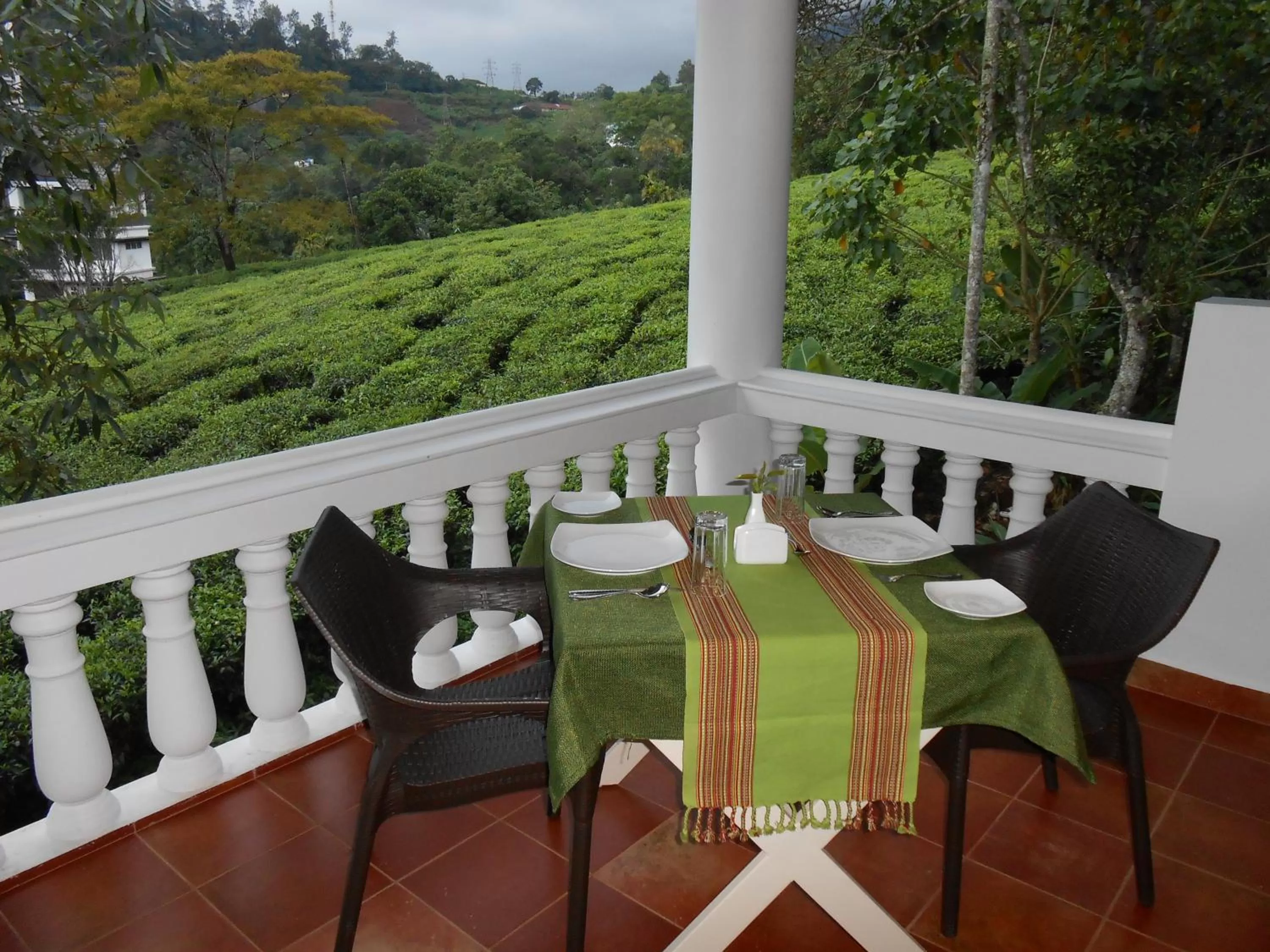 Natural landscape in Tea Harvester
