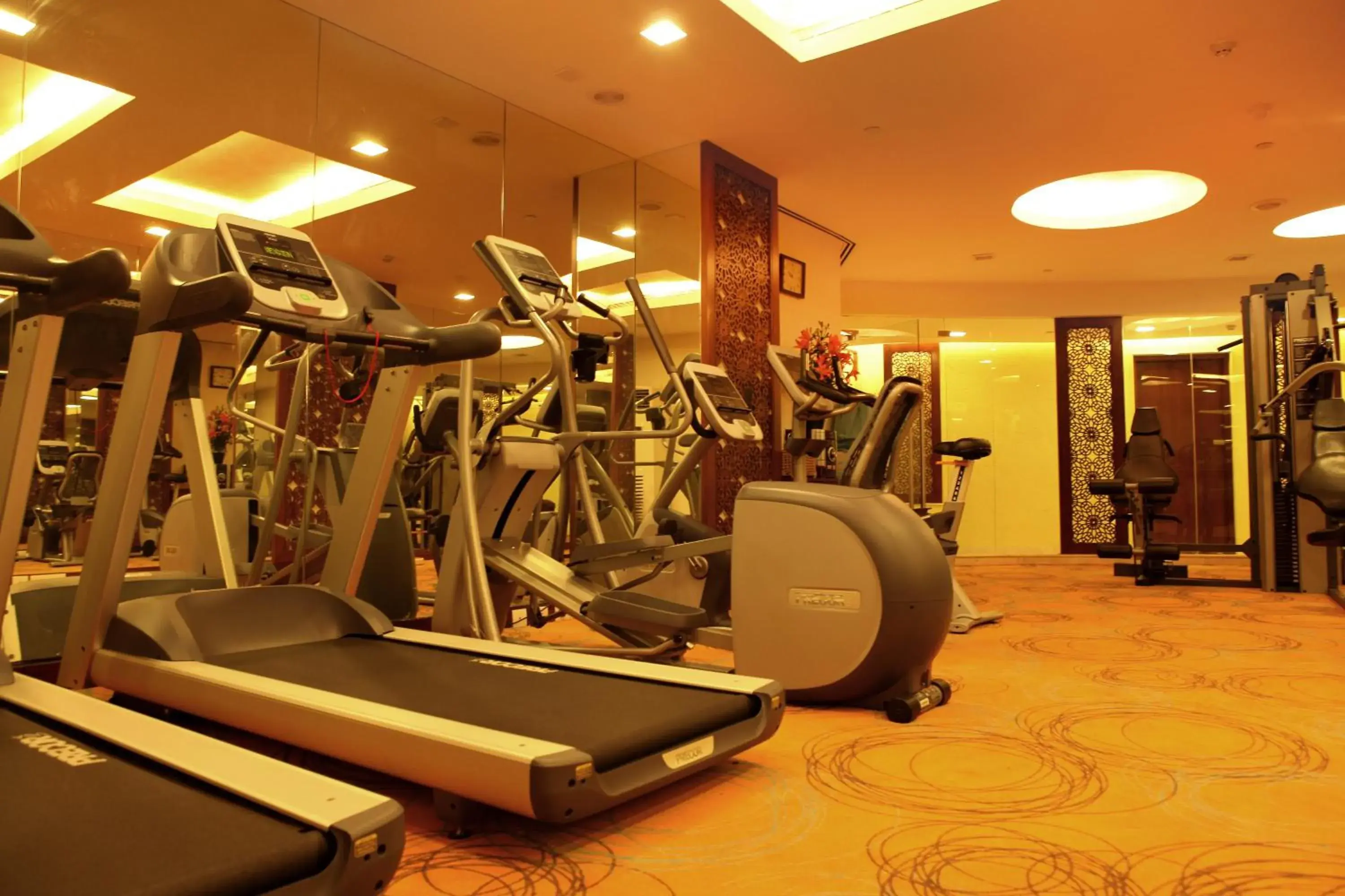 Fitness centre/facilities, Fitness Center/Facilities in The Metropolitan Hotel New Delhi