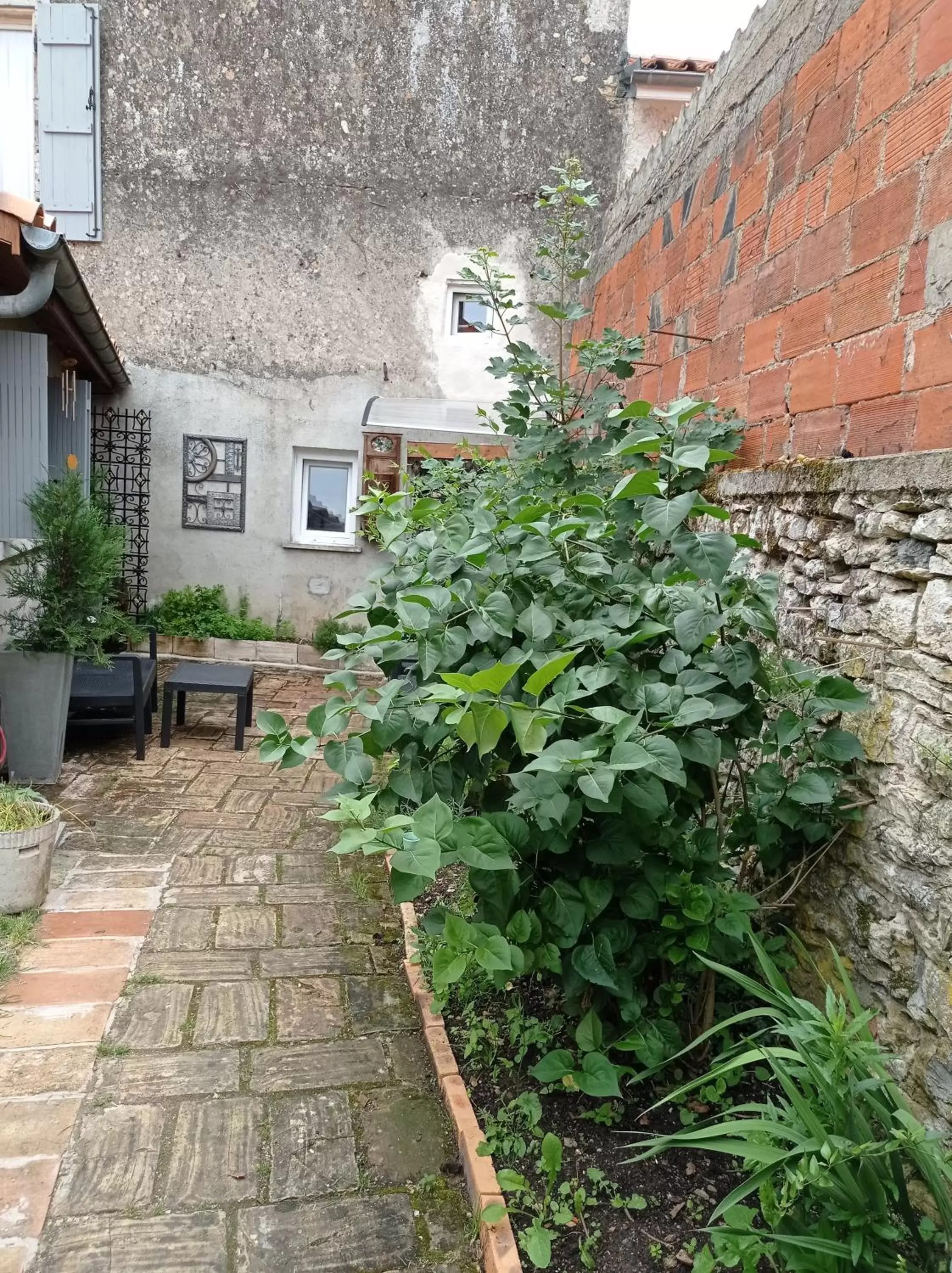 Garden, Property Building in Le Perroquet Vert