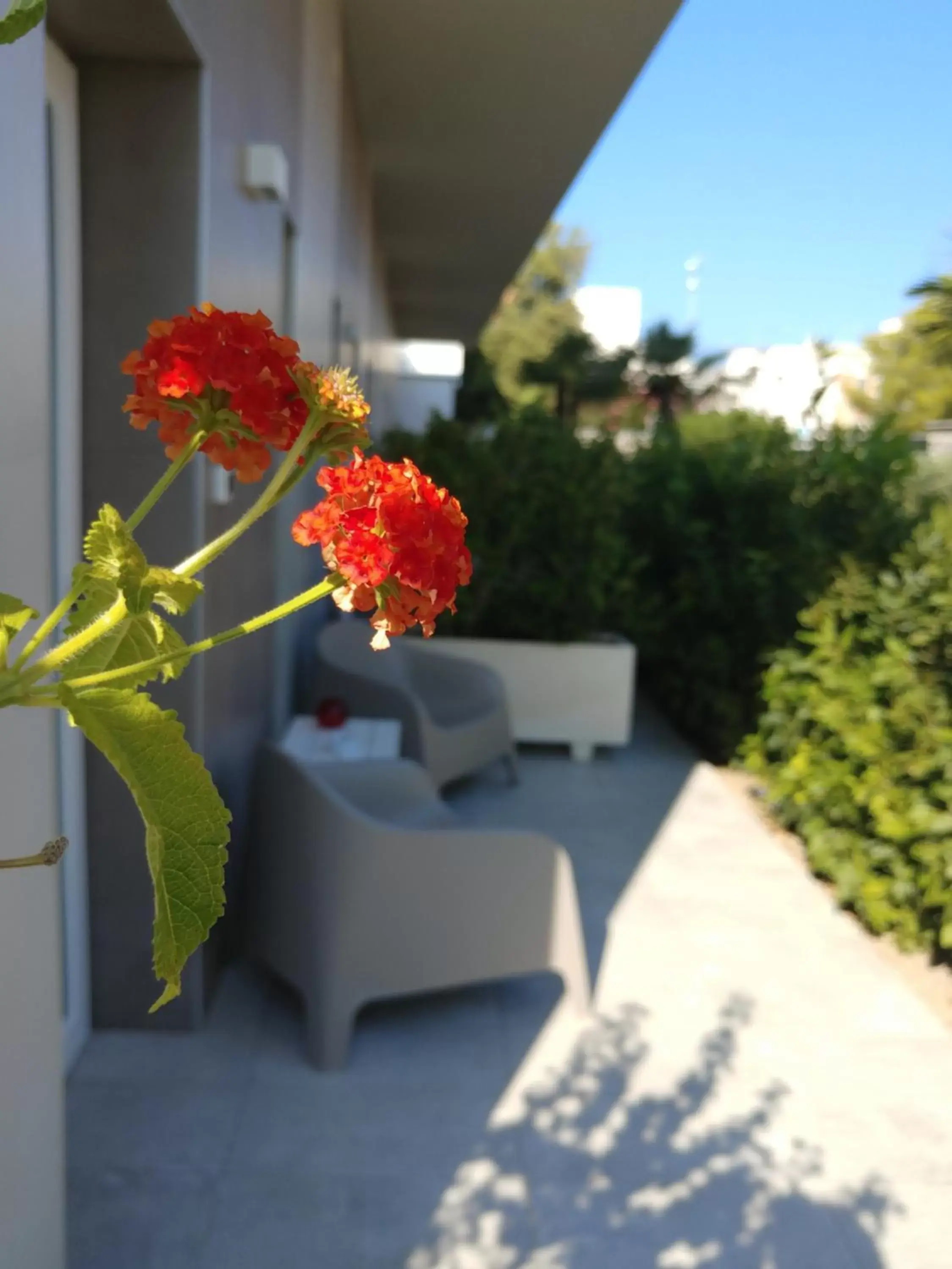 Patio in SALAPIA SALIS RESORT