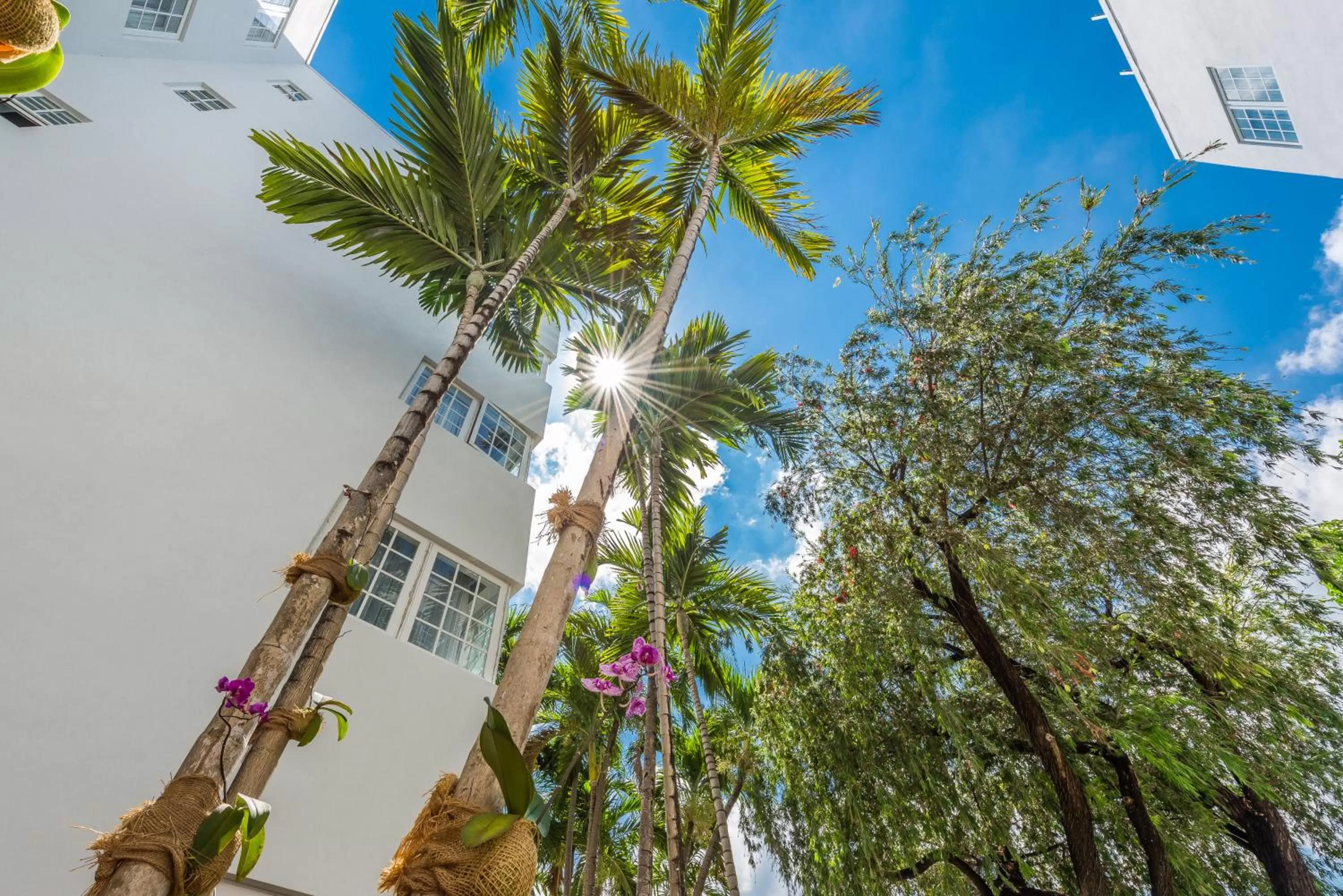 Patio in Hotel Belleza
