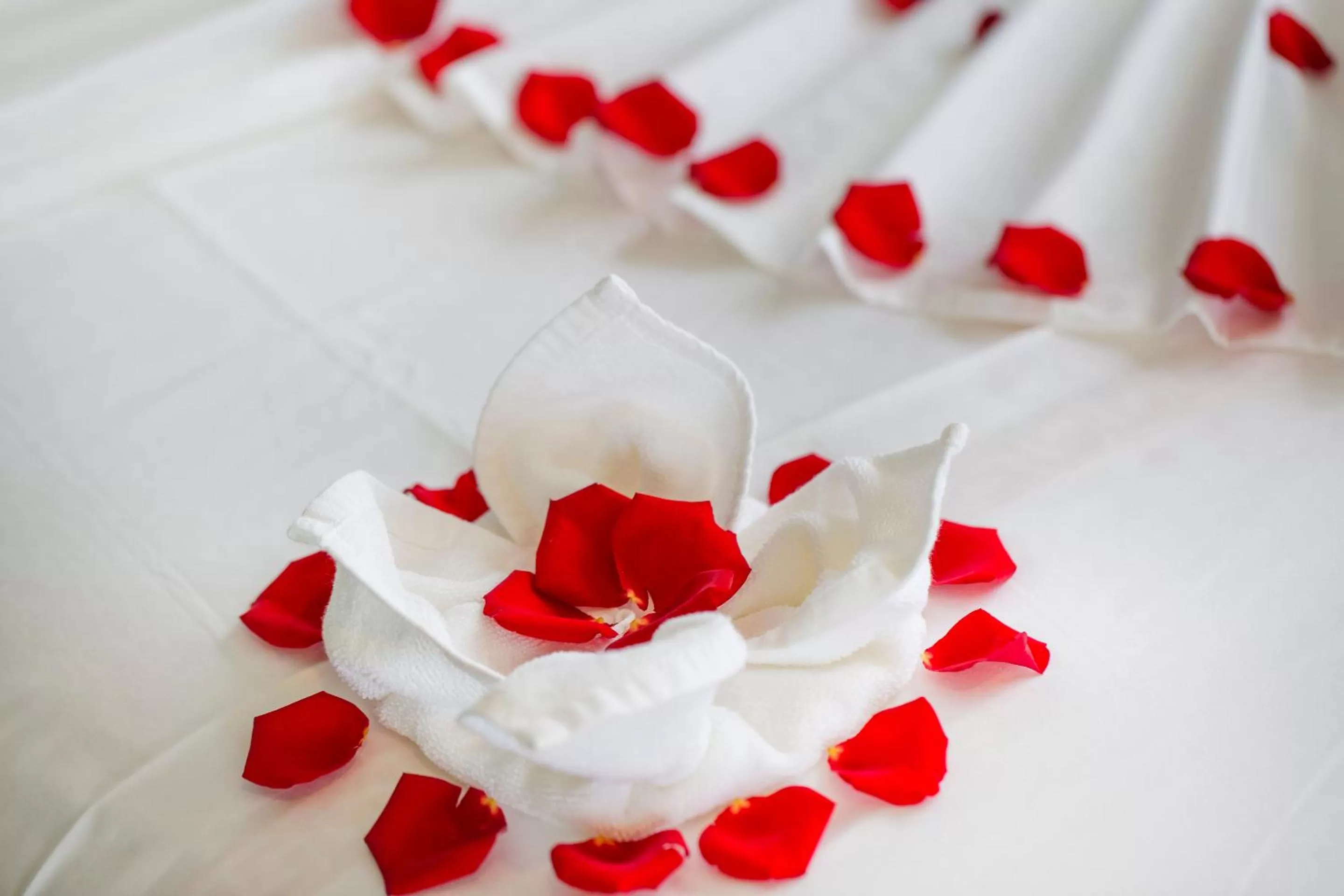 room service in Putin Hotel Nha Trang