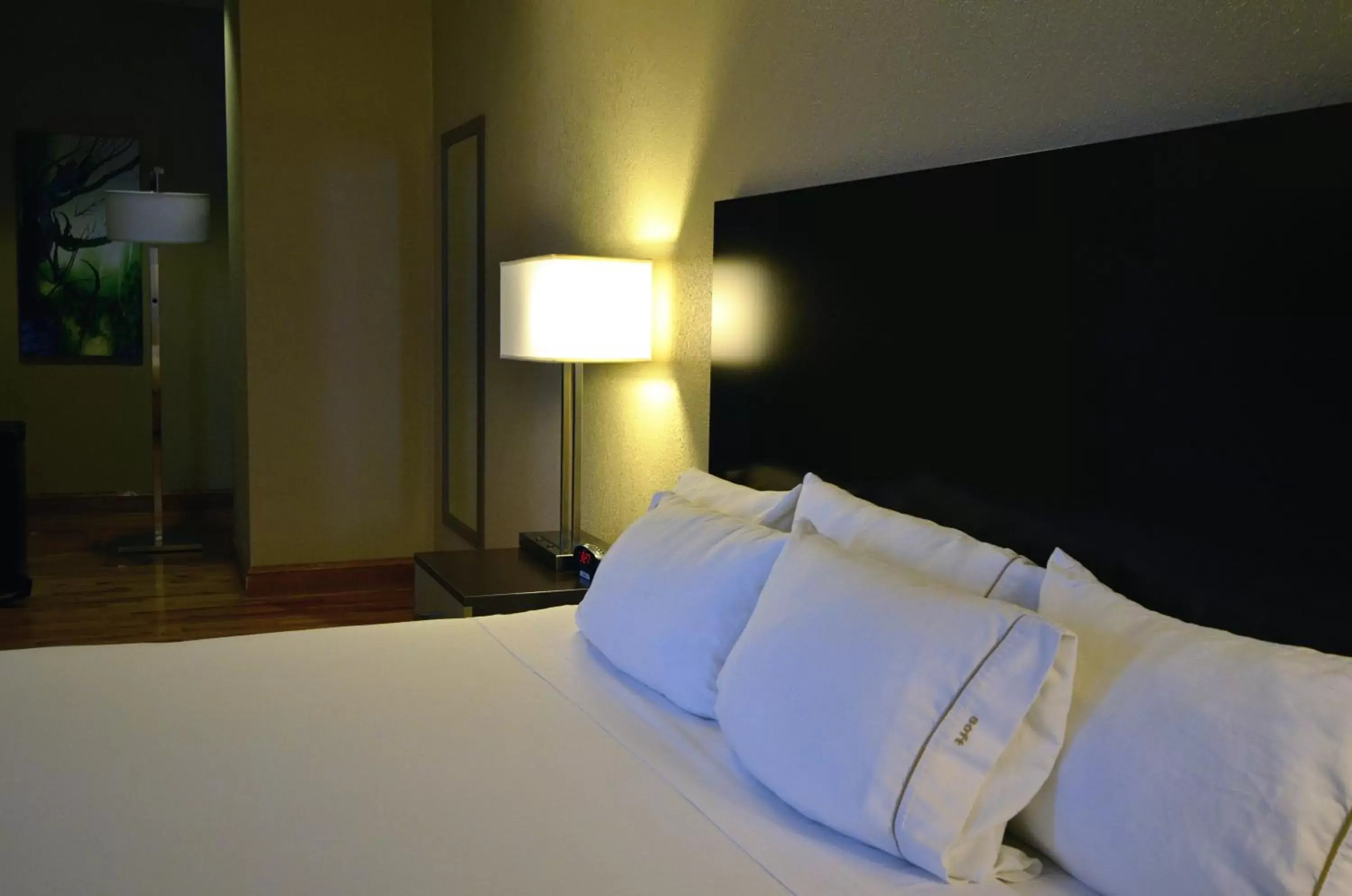 Double Room - Mobility Access Tub/Non-Smoking in Holiday Inn Express Cleveland Downtown, an IHG Hotel Double Room - Mobility Access Tub/Non-Smoking in Holiday Inn Express Cleveland Downtown, an IHG Hotel