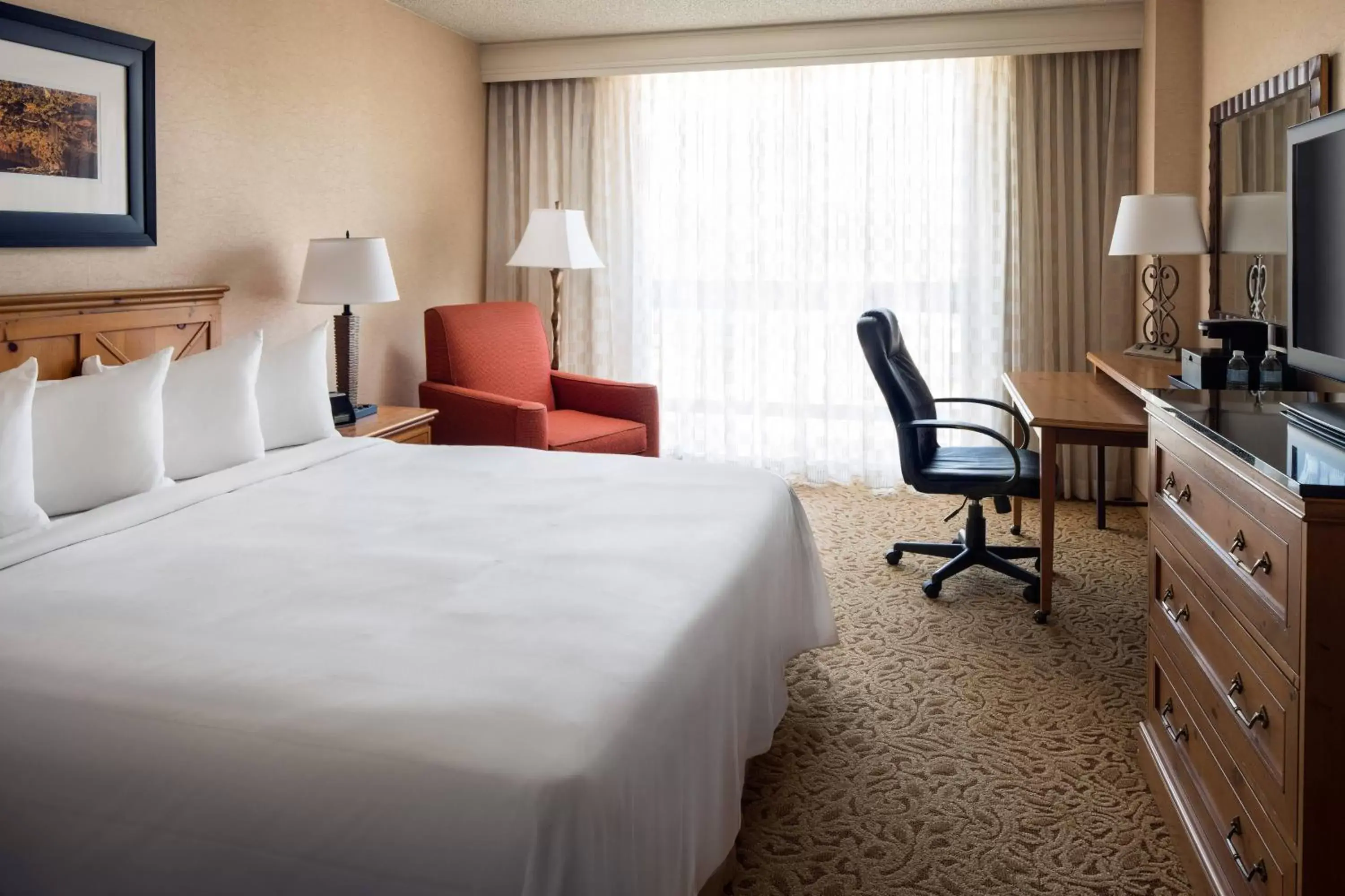Photo of the whole room, Bed in Denver Marriott West
