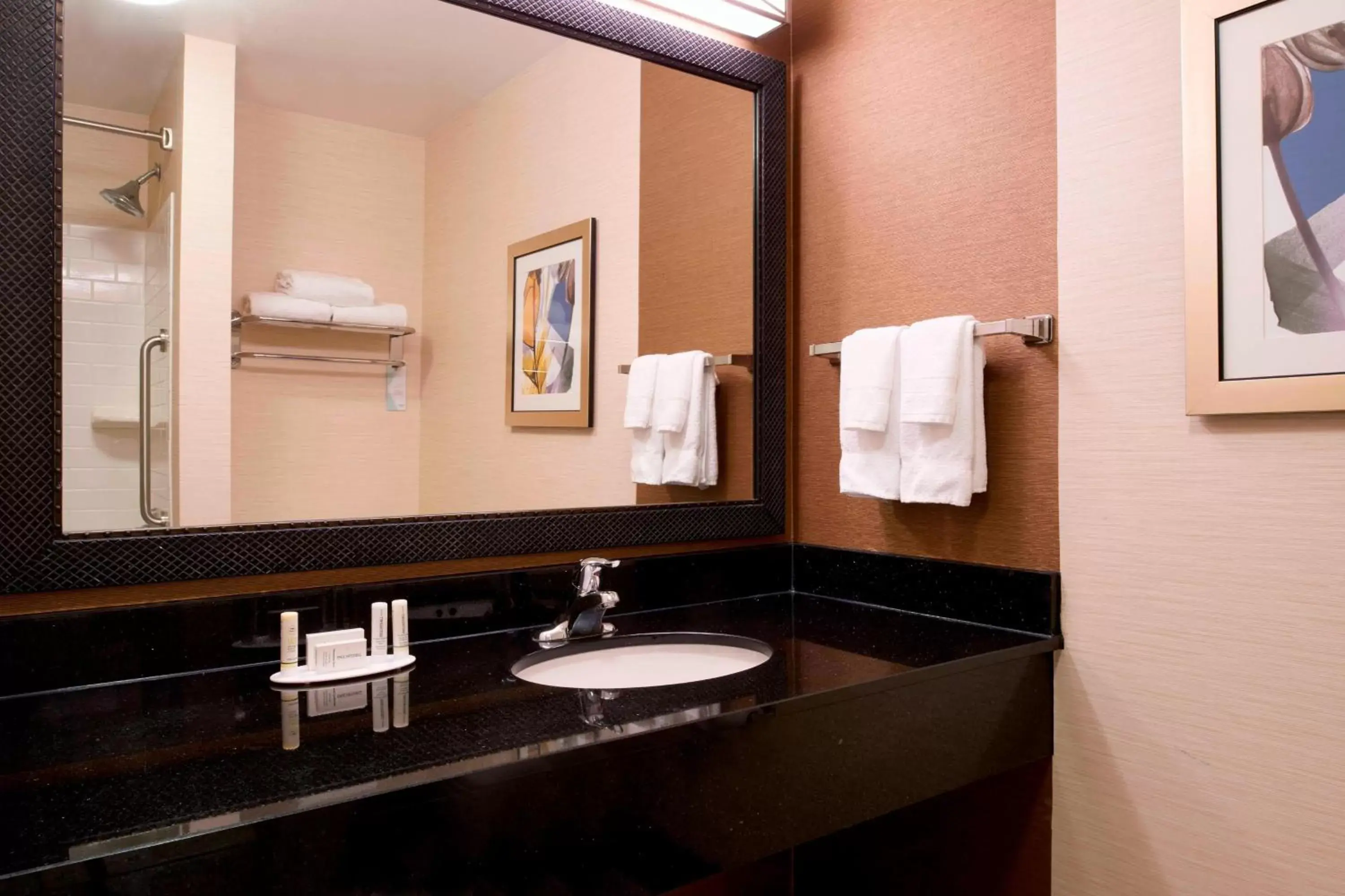 Bathroom in Fairfield Inn and Suites New Buffalo