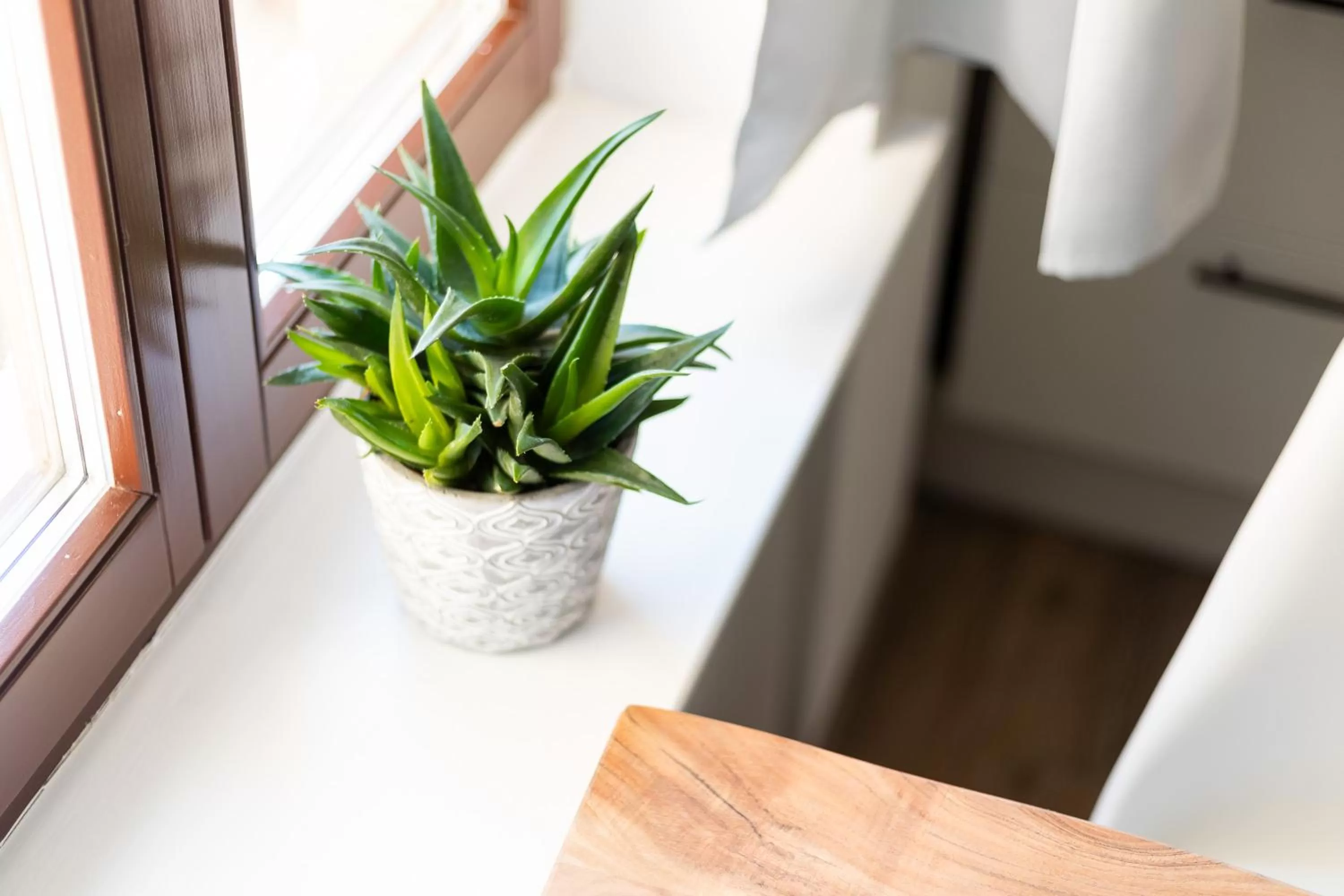 Decorative detail in Apartments am Neuen Theater - Altstadt - Zentral - Küche - Wifi - Powered by Ko-Living