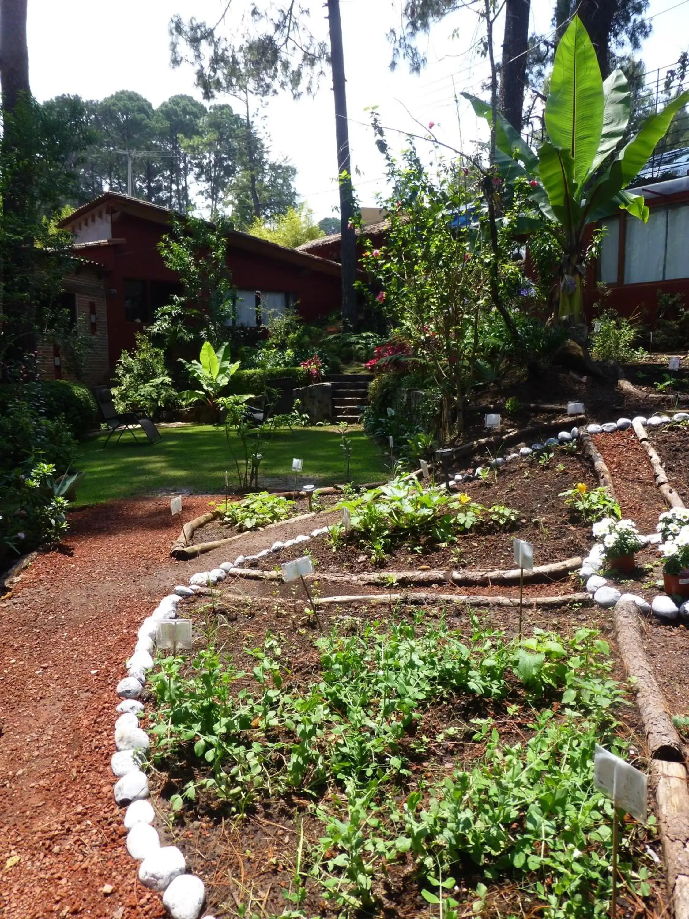 Garden in La Casa del Rio