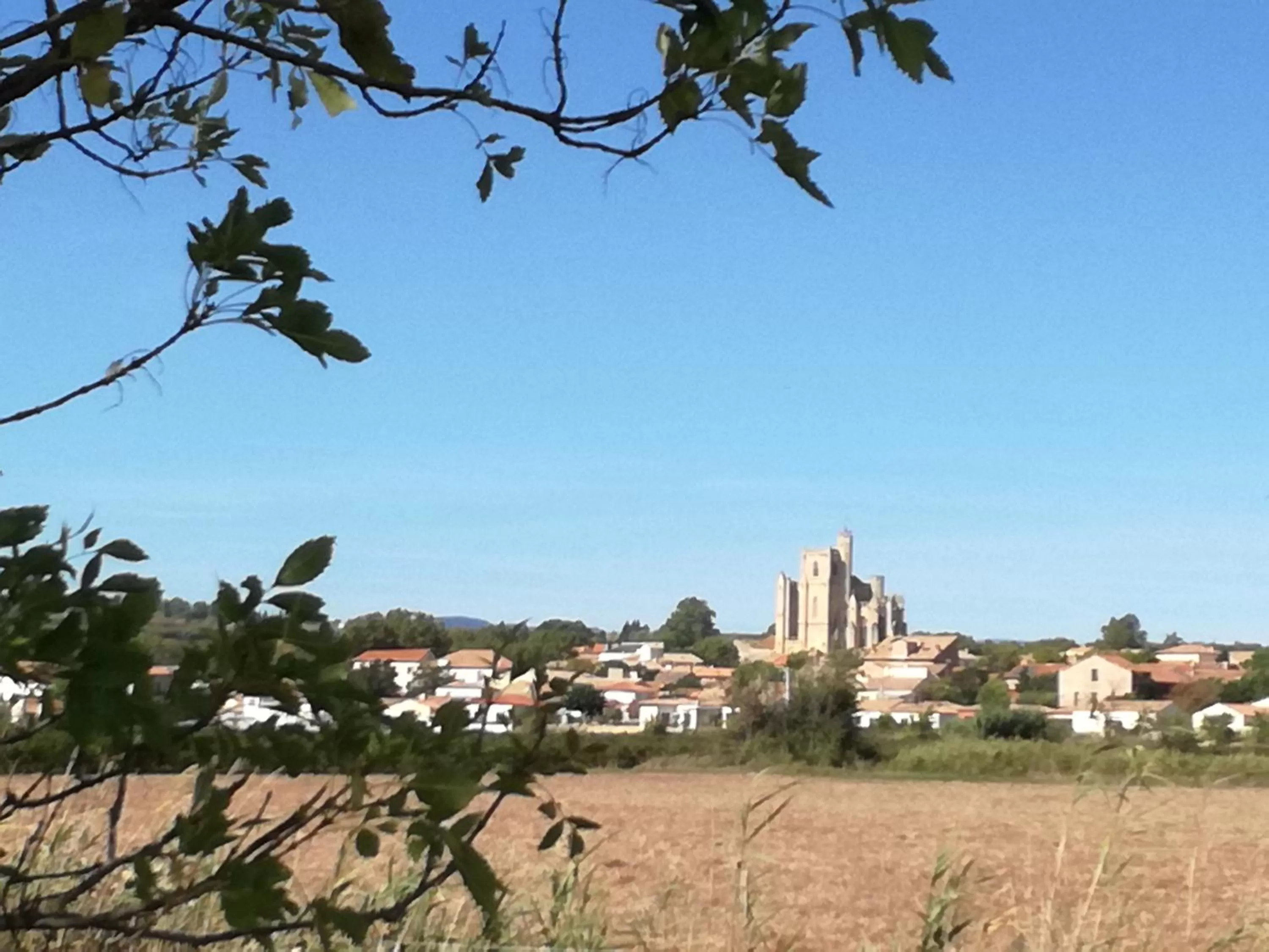 La pause sous le pin