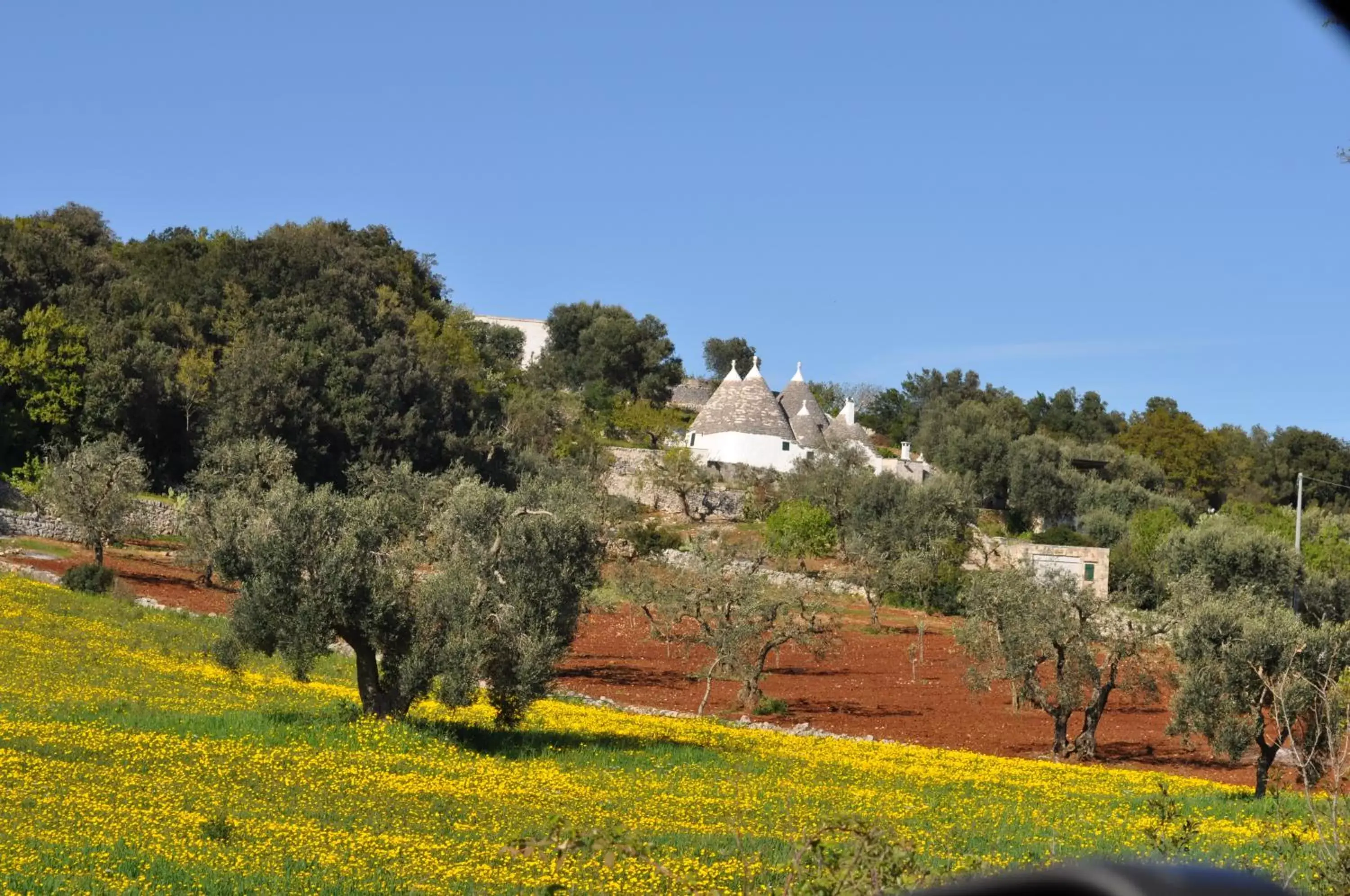 Activities in Hotel La Vetta Europa