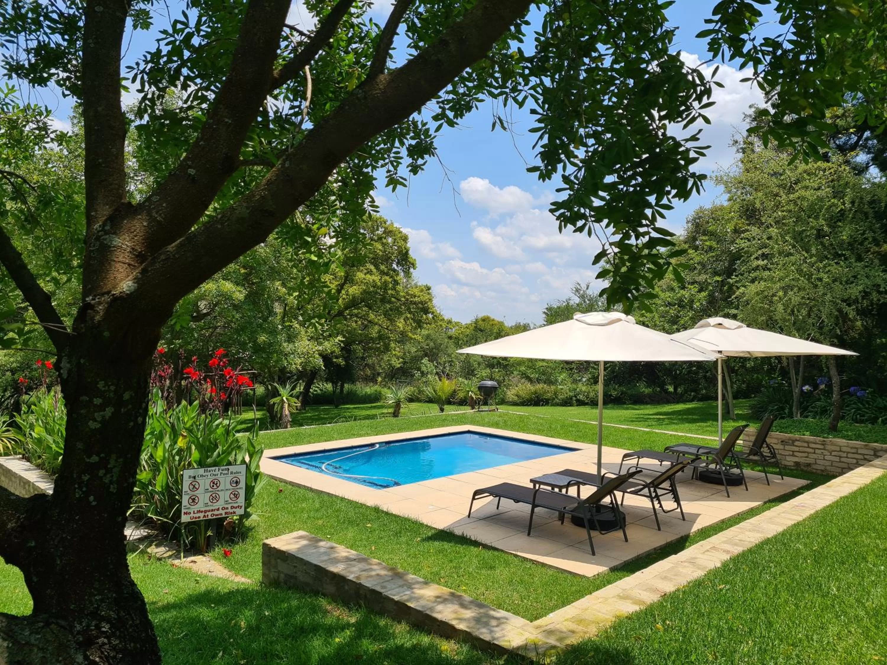 Garden in Amberhall Guesthouse