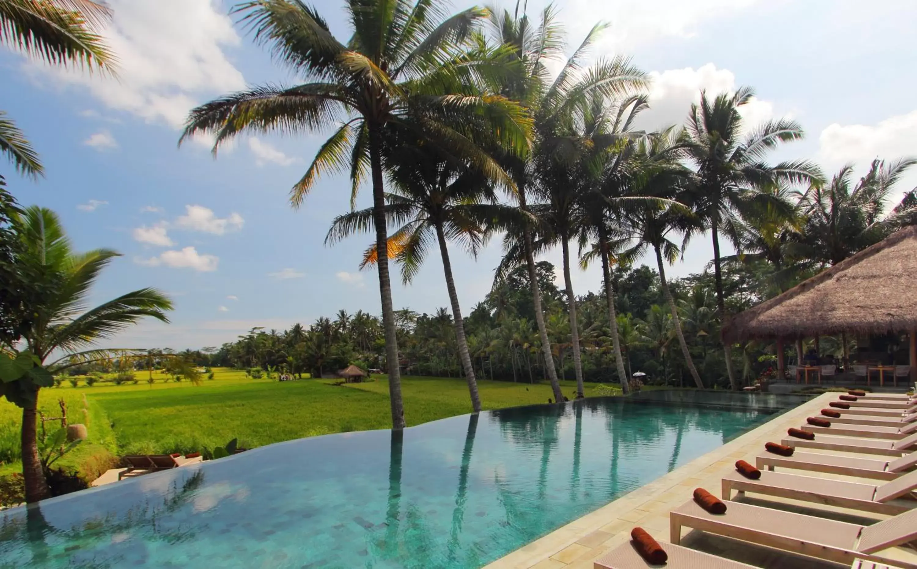 Off site, Pool View in MATHIS Retreat Ubud