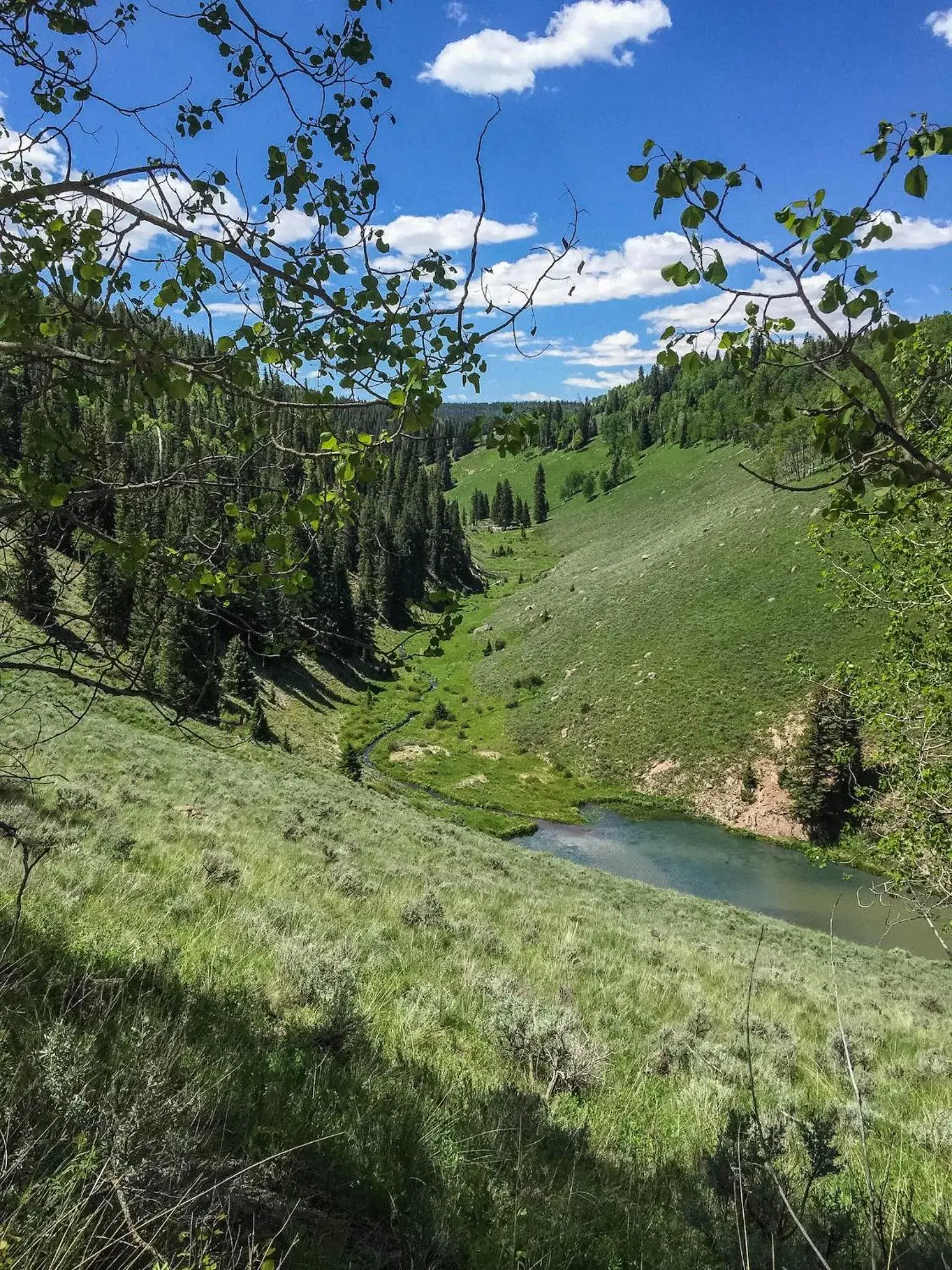 Arrowhead Mountain Lodge