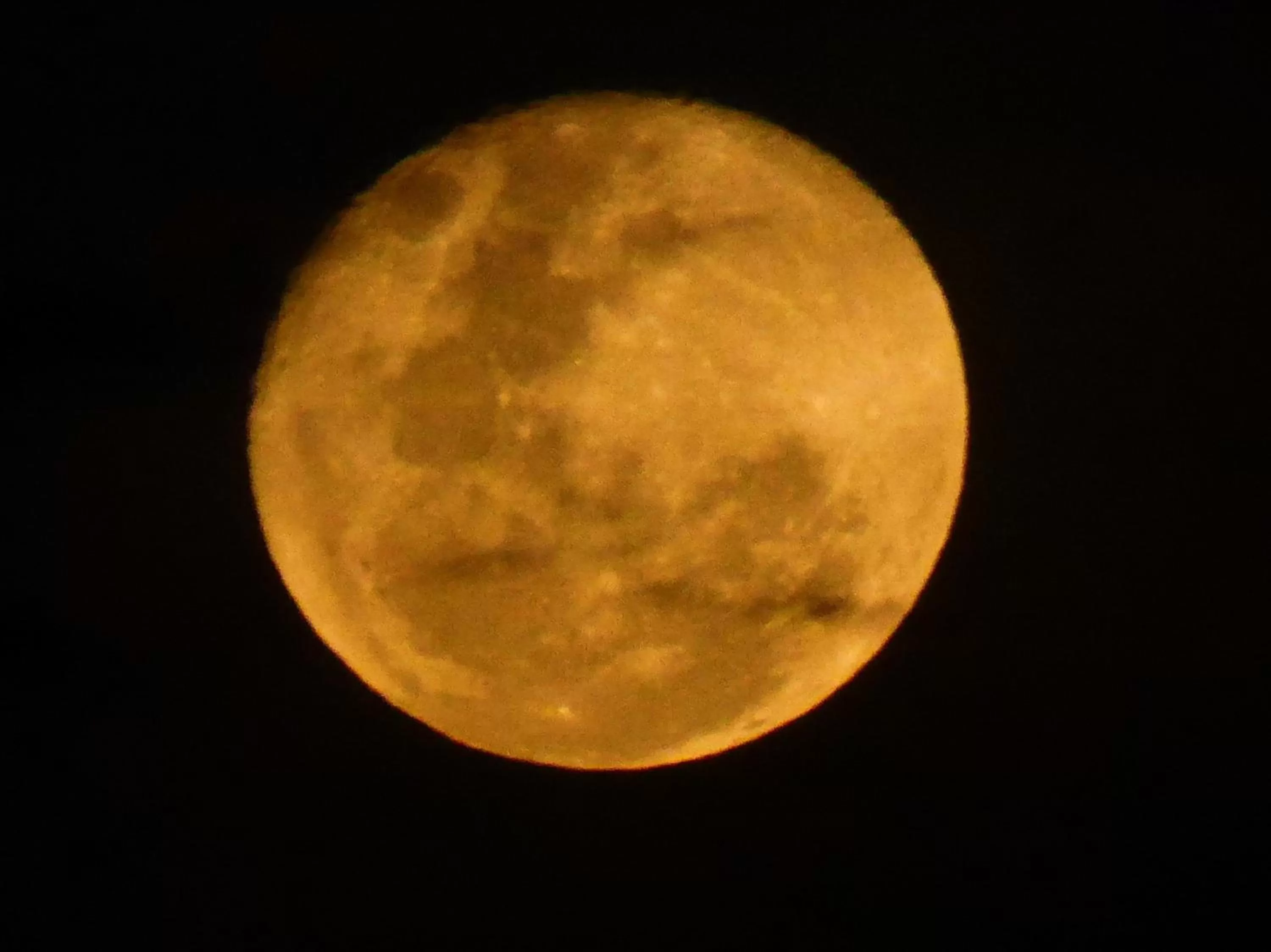 View (from property/room) in Finca El Cielo