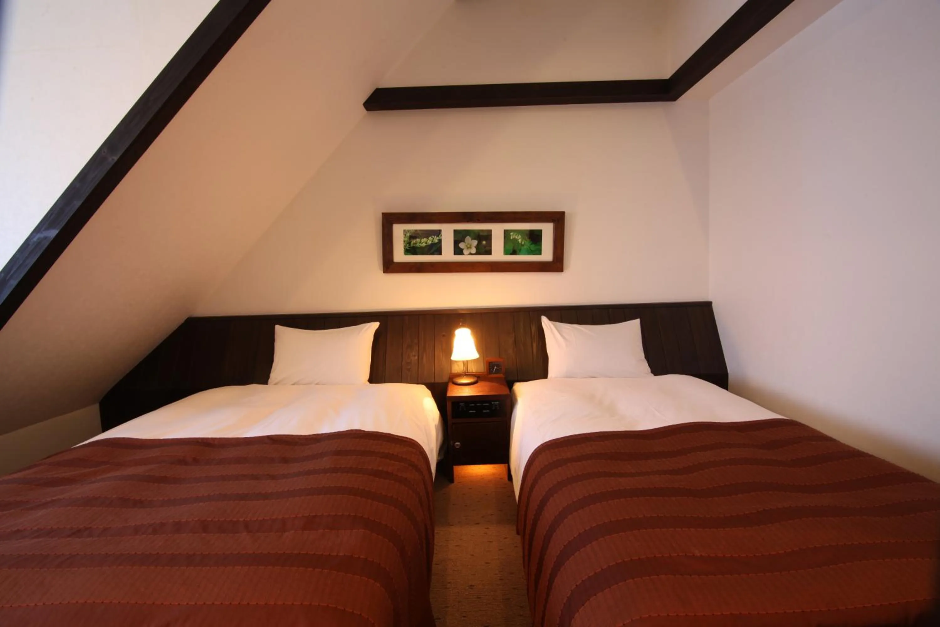 Comfort Twin Room - single occupancy in La Vista Daisetsuzan