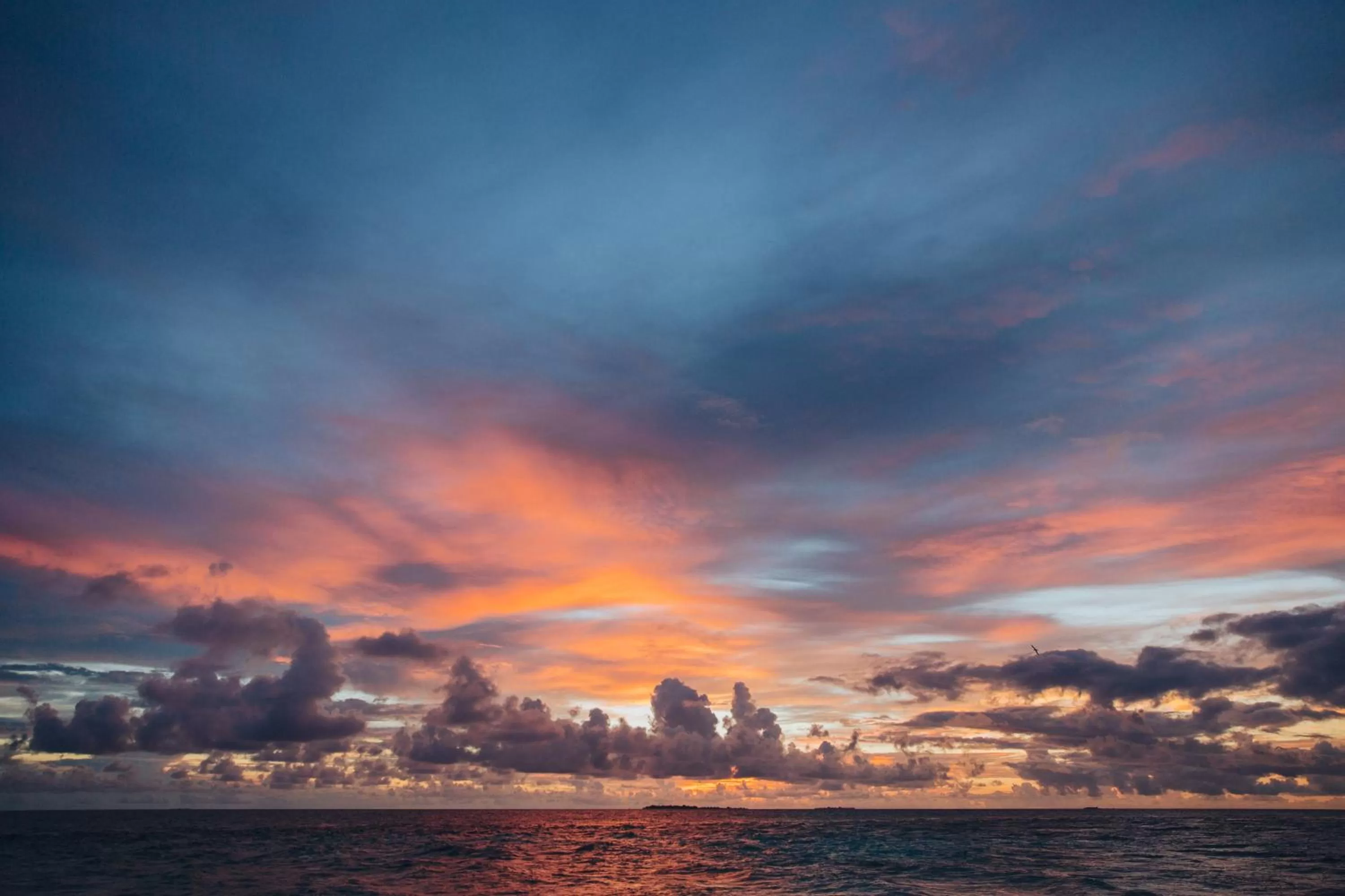 Area and facilities in Waterrijk Oesterdam Hotel