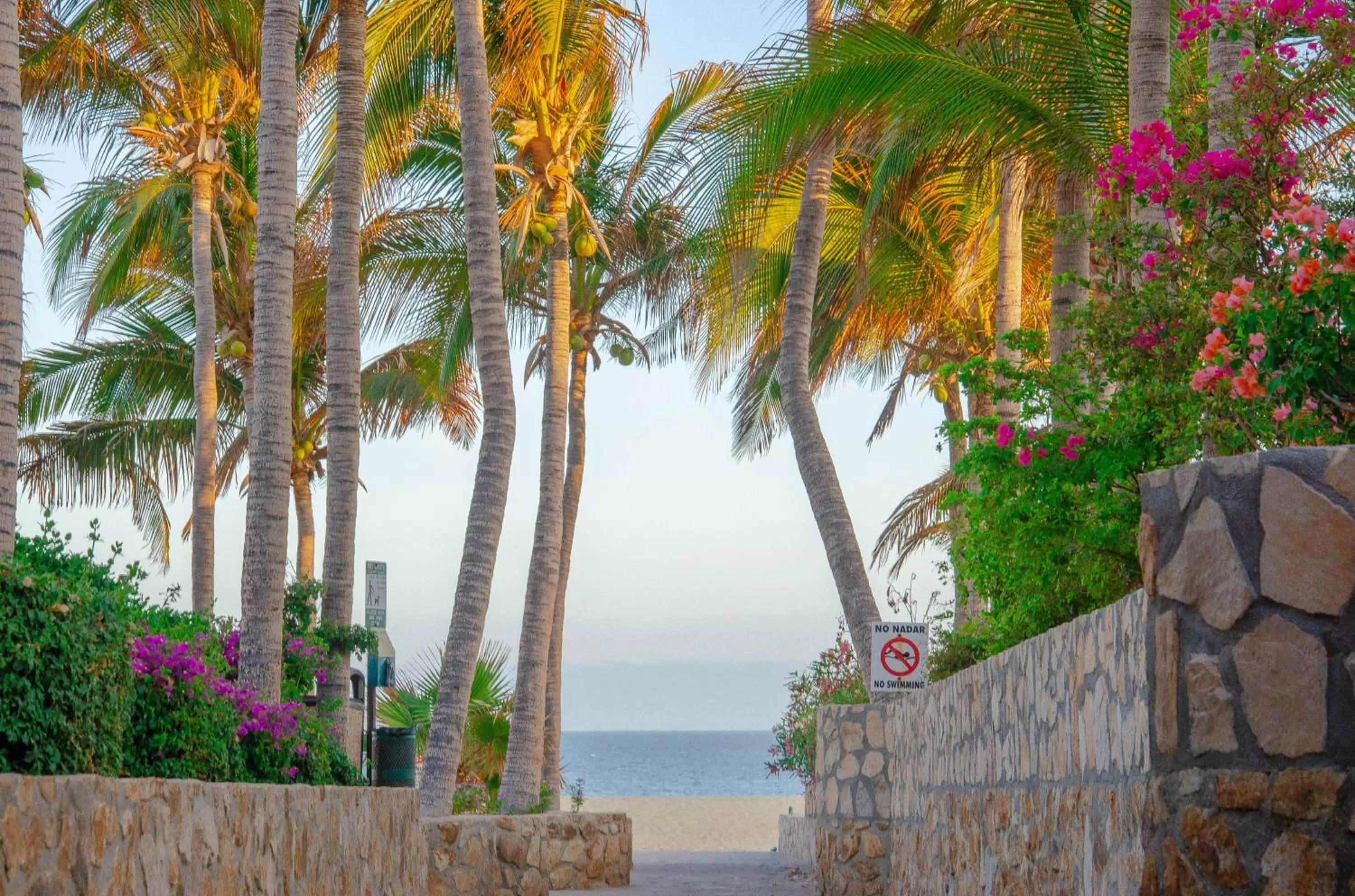 Natural landscape in Pedregal Suites - Marina and Downtown
