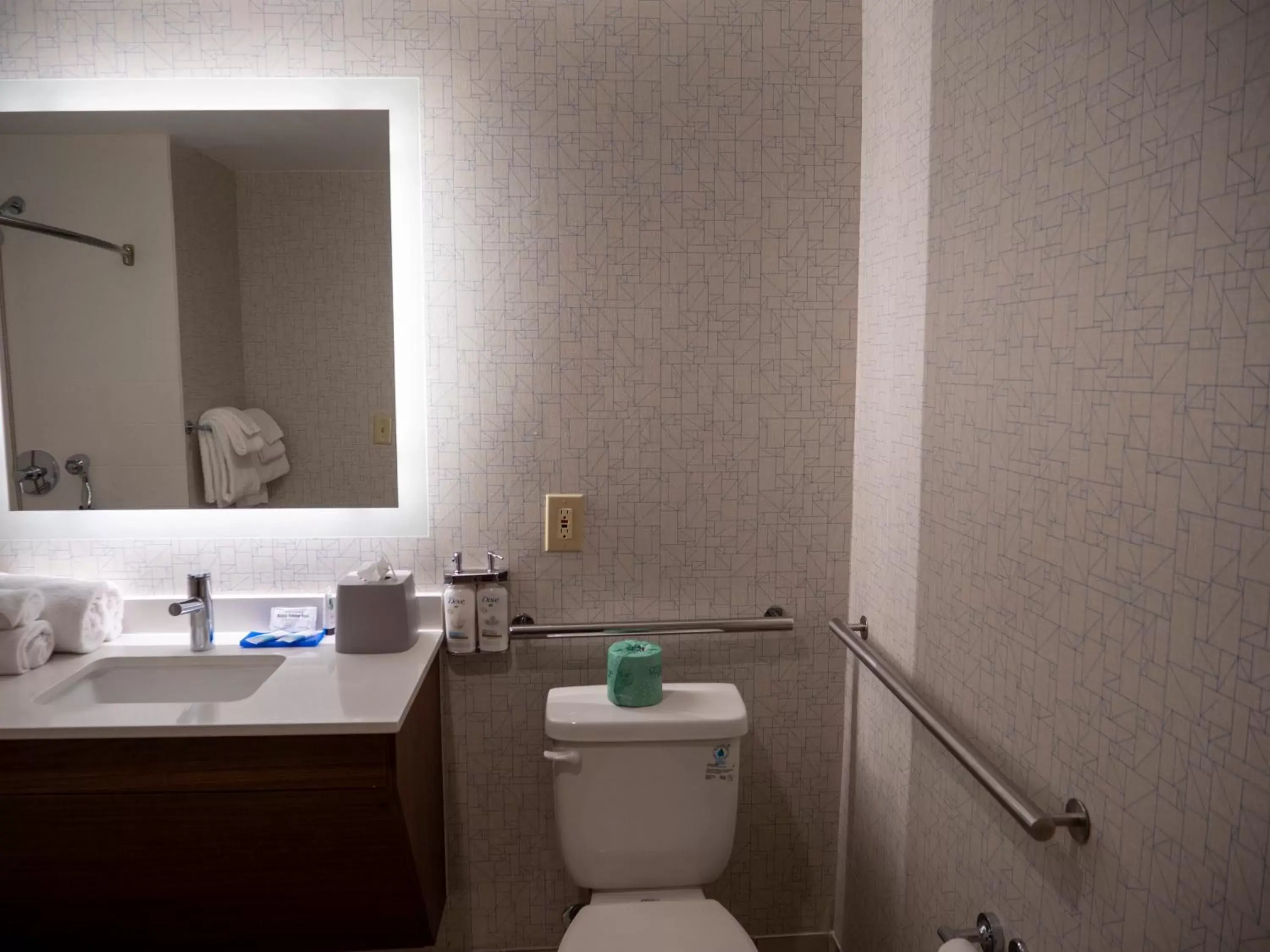 Bathroom in Holiday Inn Express & Suites Greenville Airport, an IHG Hotel