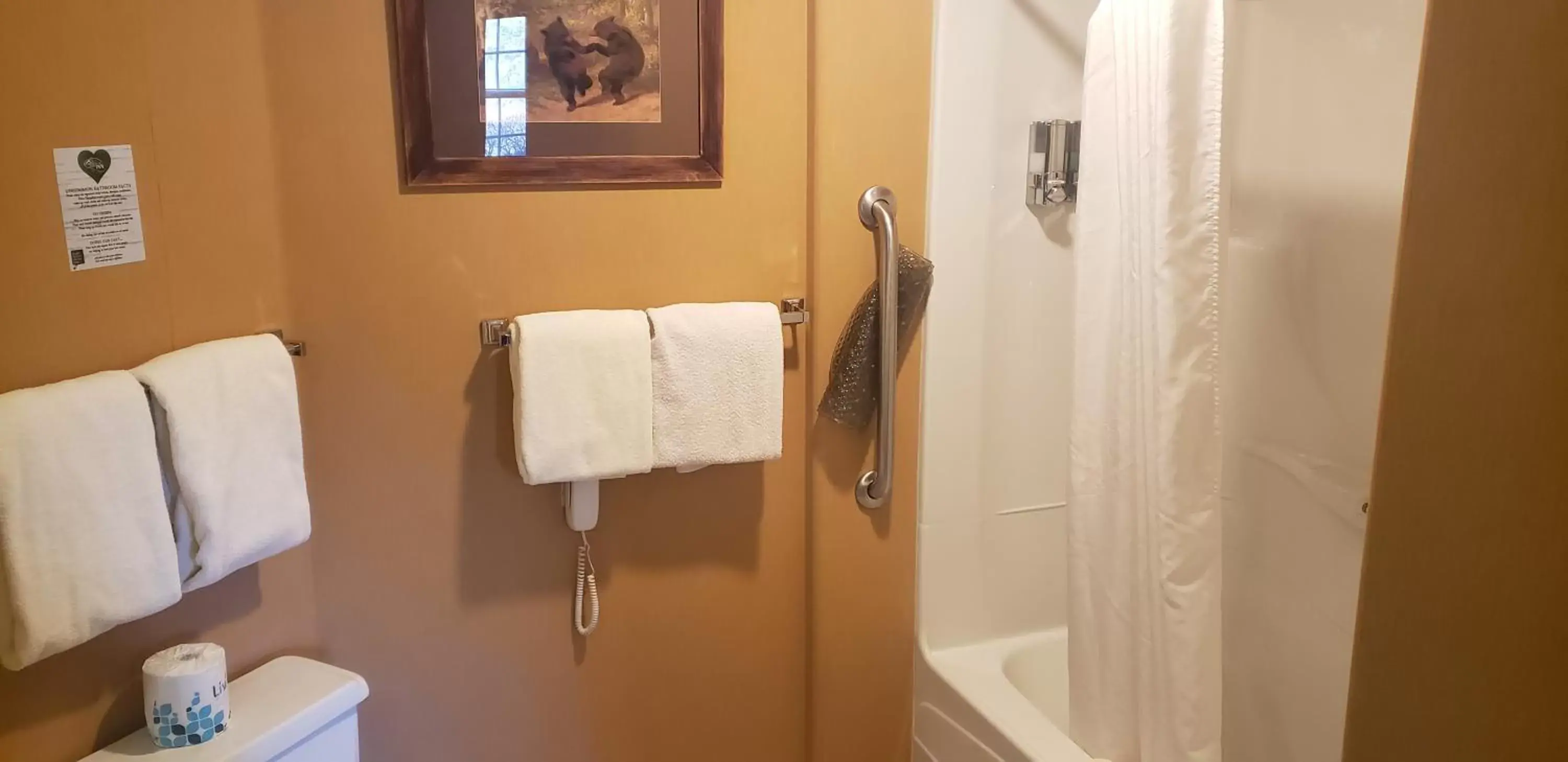 Shower, Bathroom in The Common Man Inn, Spa & Lodge