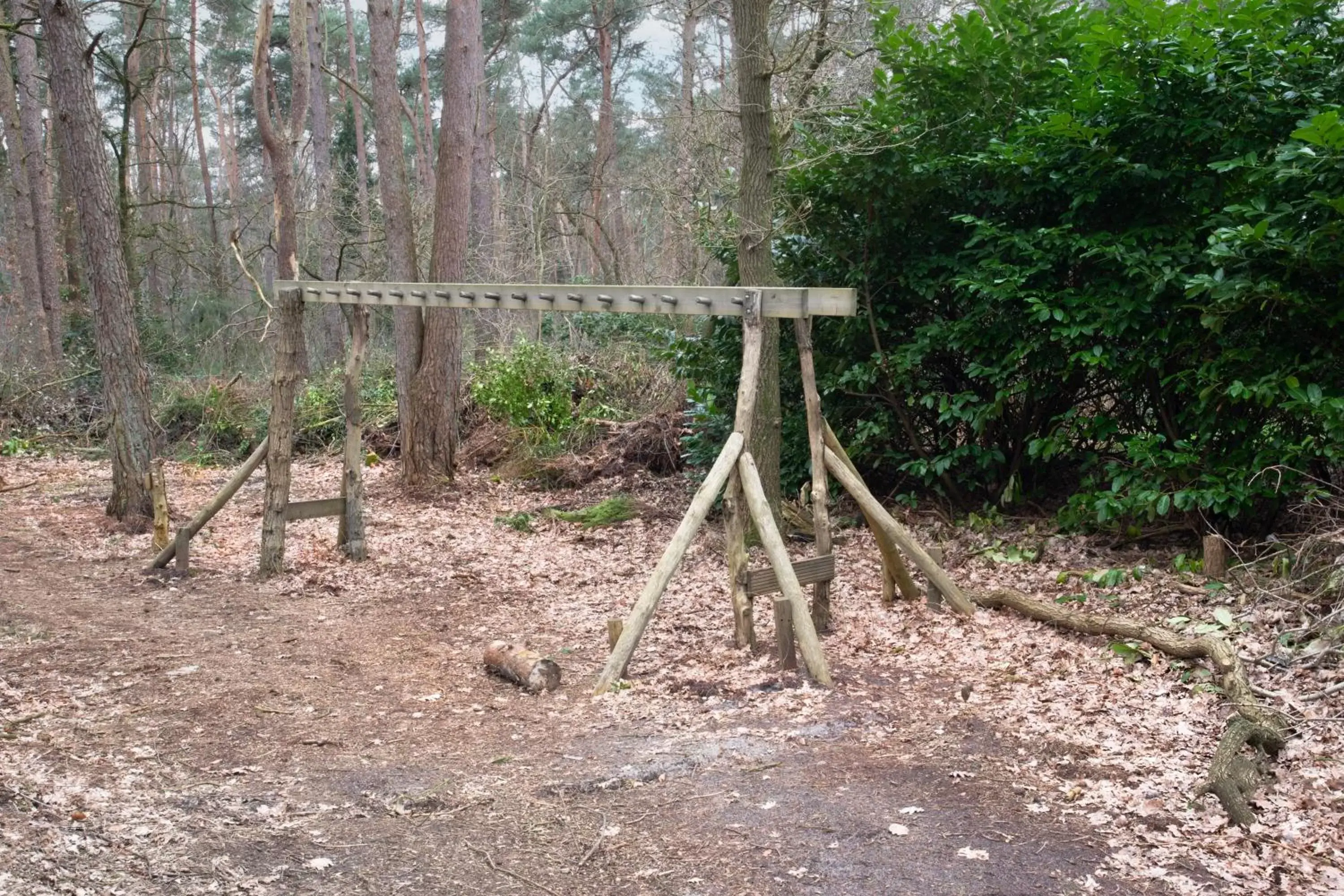 Natural landscape in Duynparc Soest