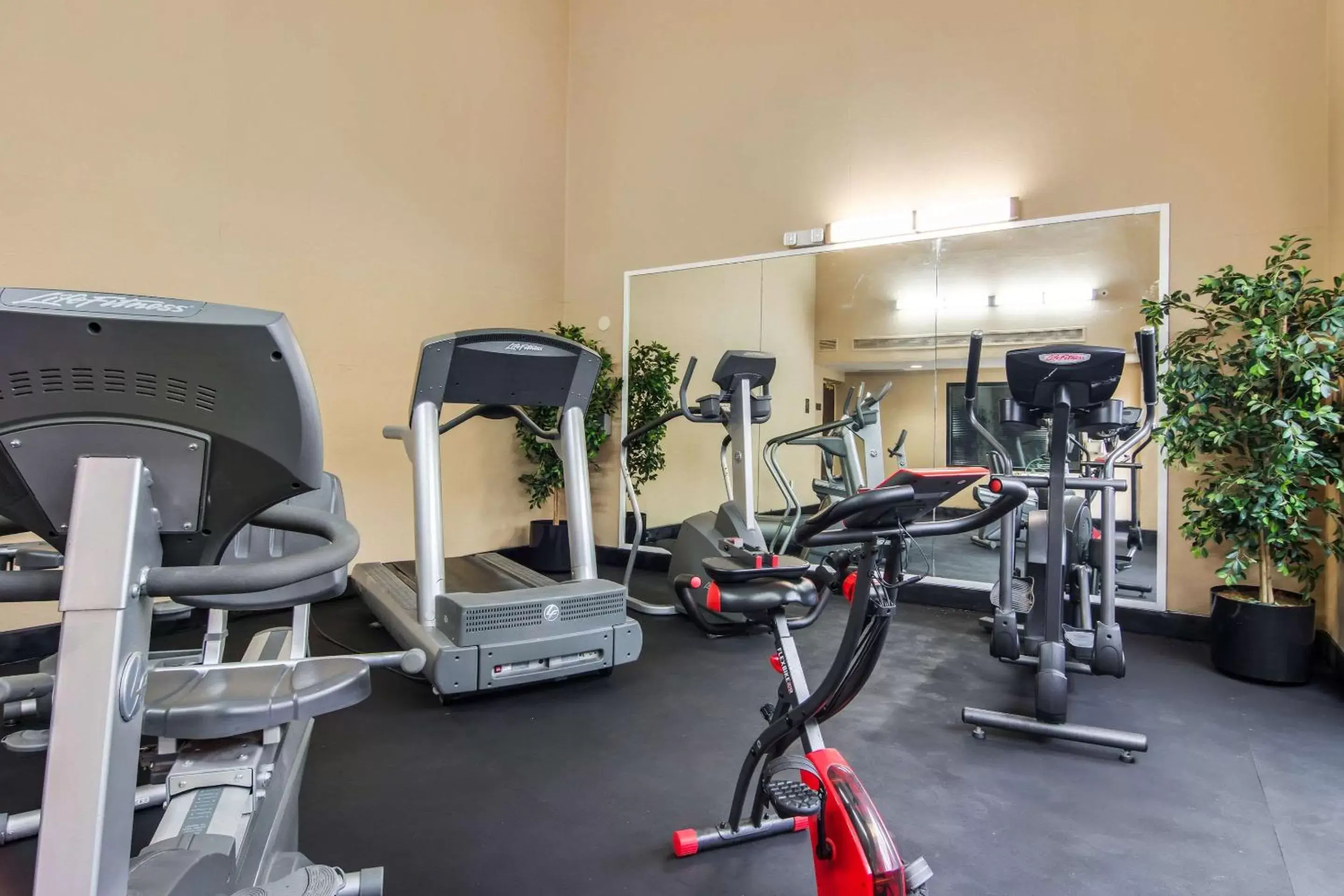 Fitness centre/facilities, Fitness Center/Facilities in Comfort Inn Roswell-Dunwoody