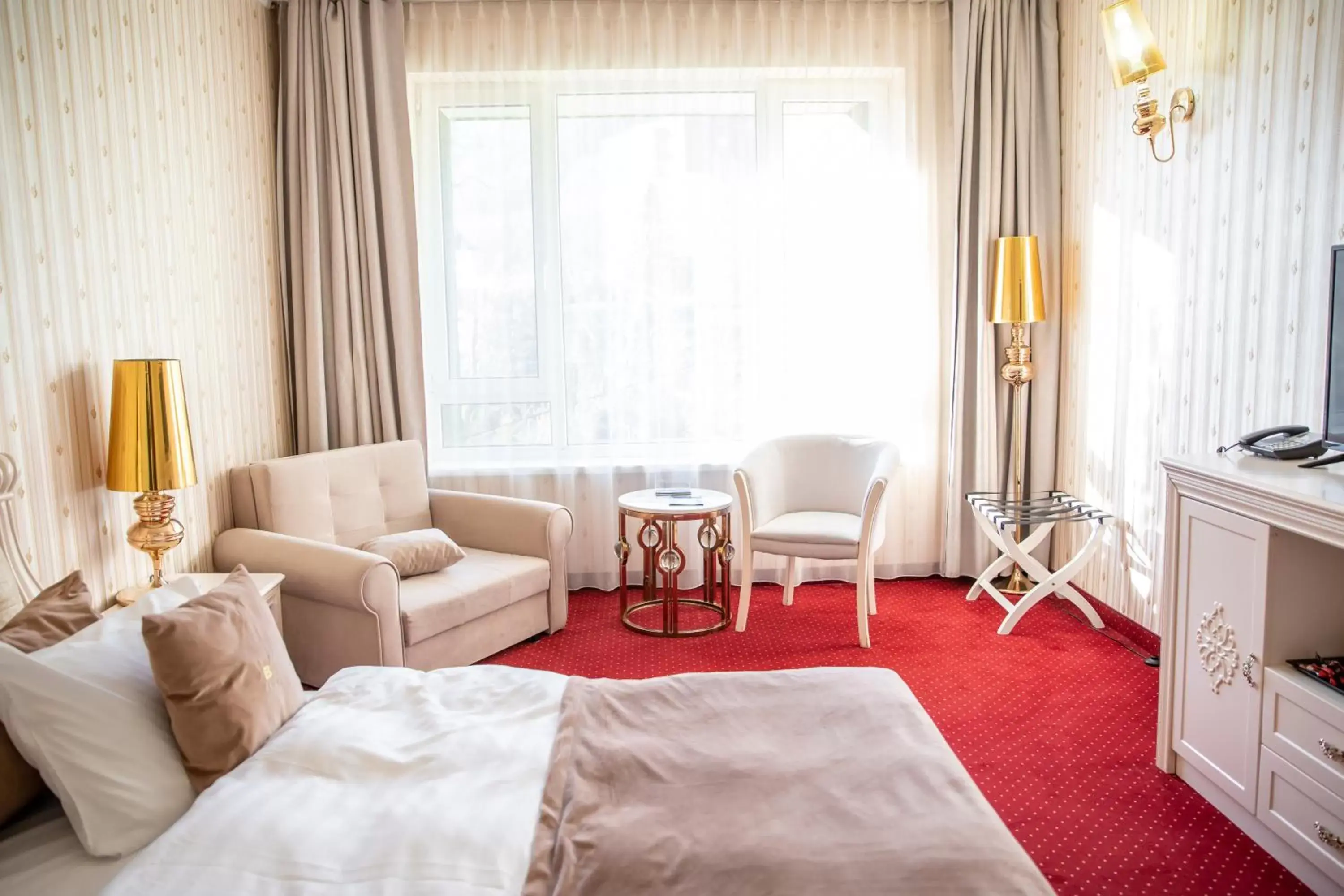 Photo of the whole room, Seating Area in Hotel Carpathia