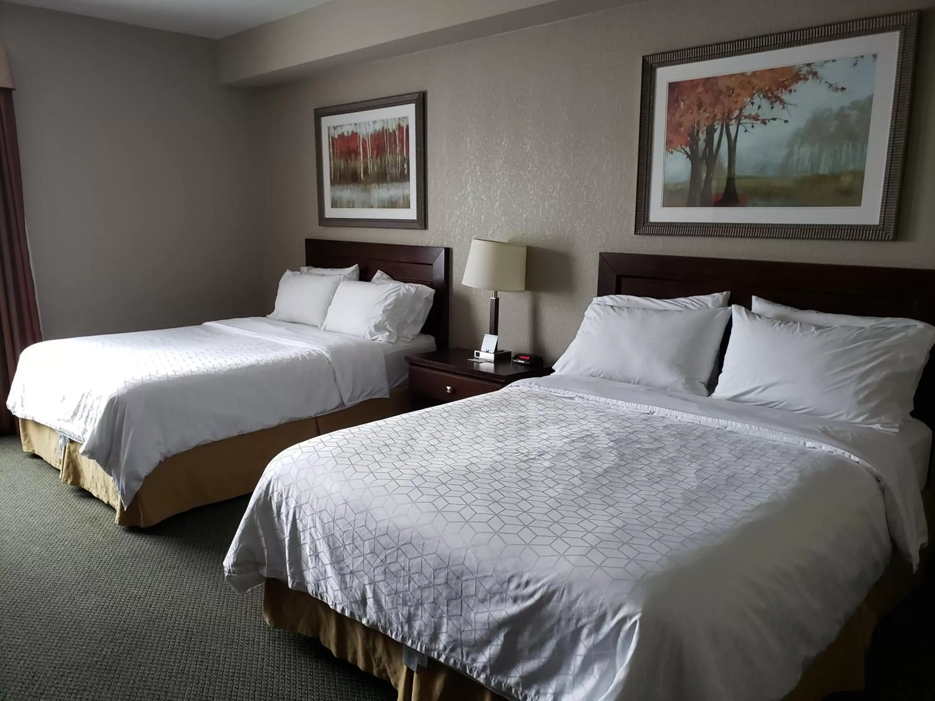 Photo of the whole room, Bed in Holiday Inn Express Dryden, an IHG Hotel