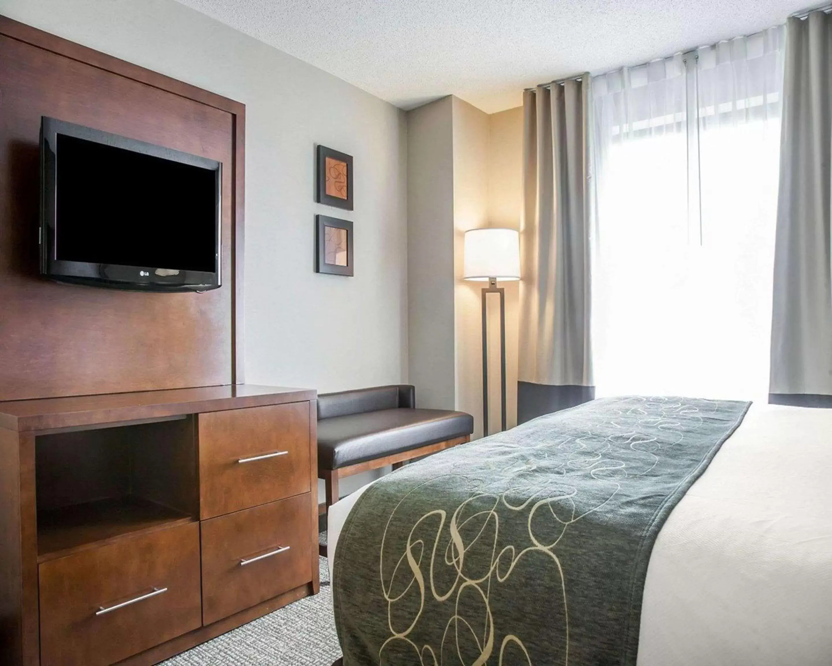 Bedroom, TV/Entertainment Center in Comfort Suites West Warwick - Providence