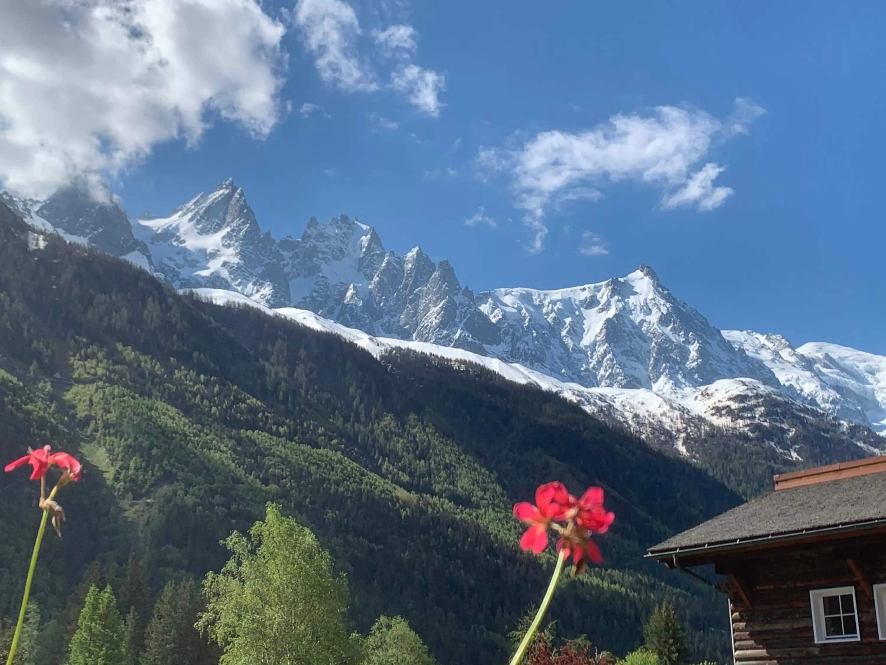 View (from property/room) in Hôtel Le Labrador