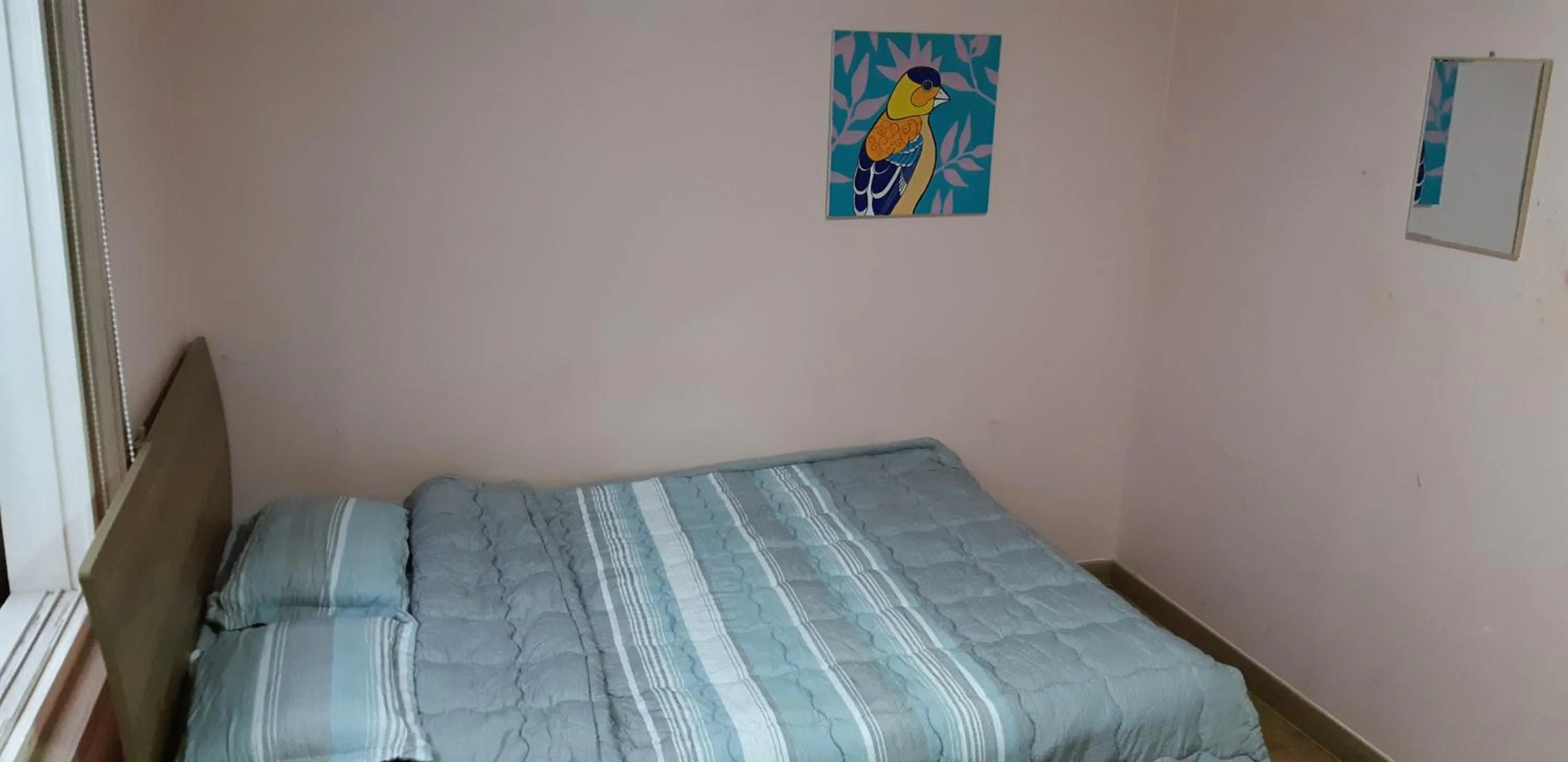 Bed in Birdsnest Hostel Hongdae Foreigner only