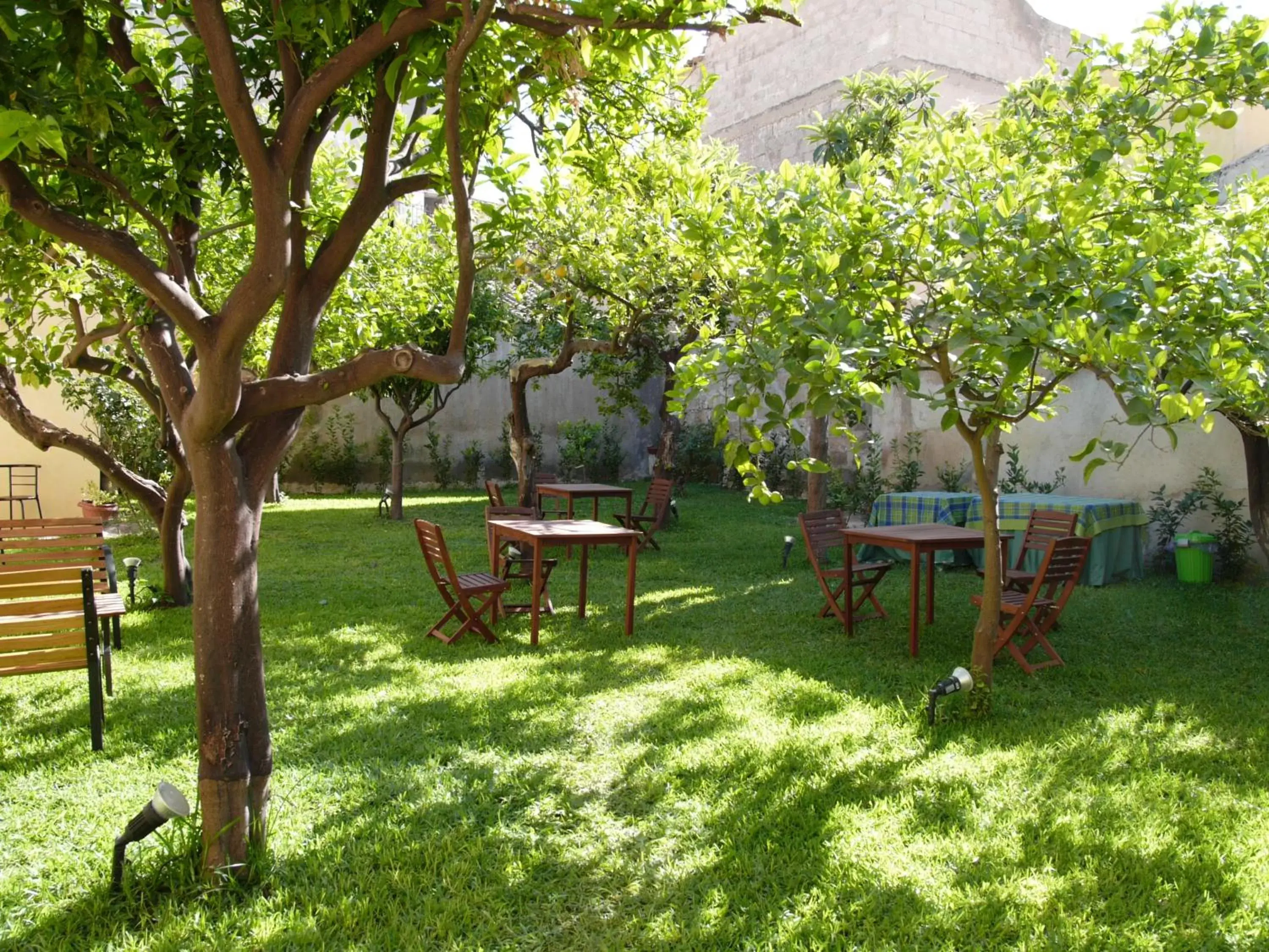 Garden in Il Giardino Del Barocco