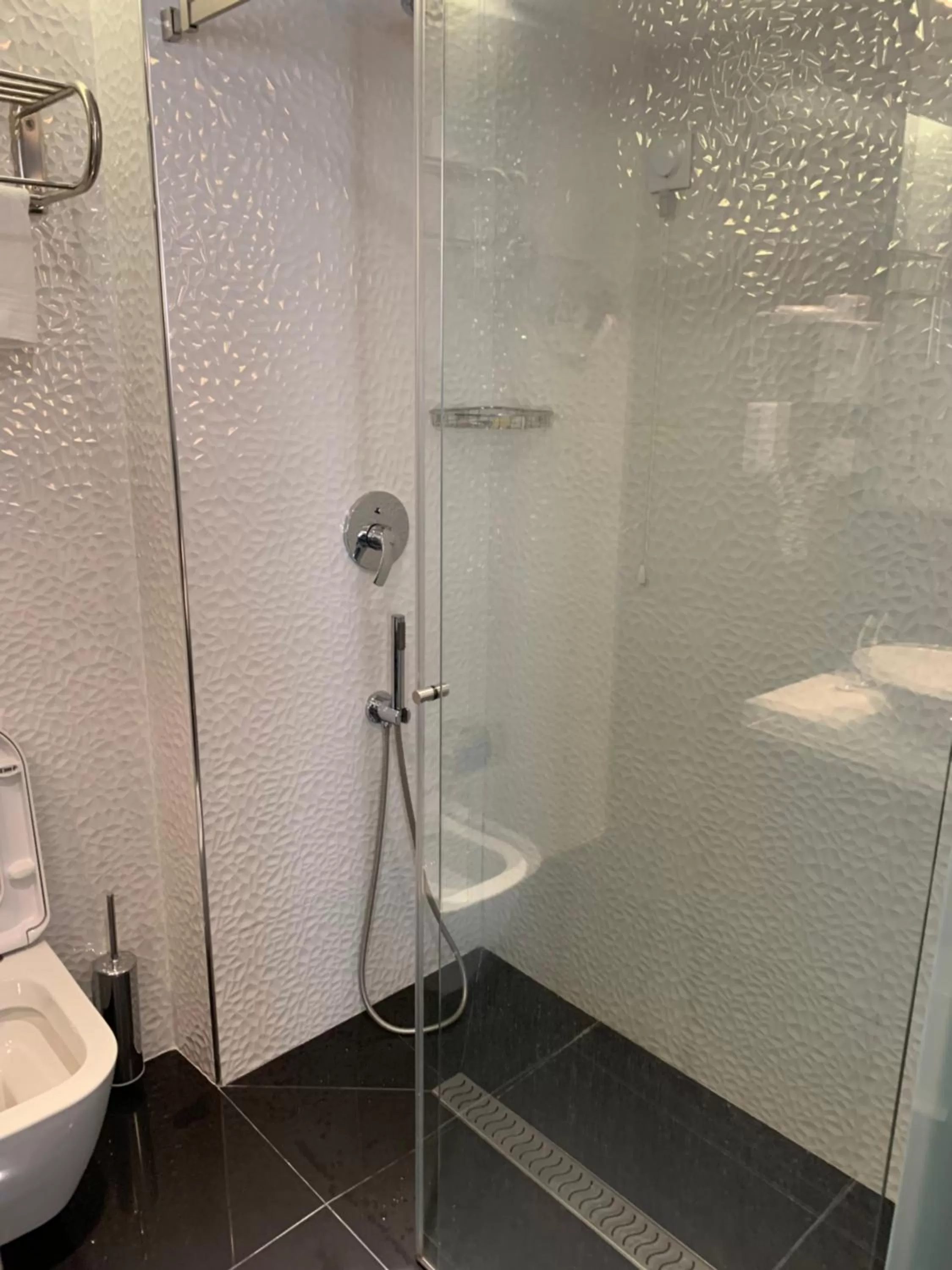 Toilet in Hotel Do Chile