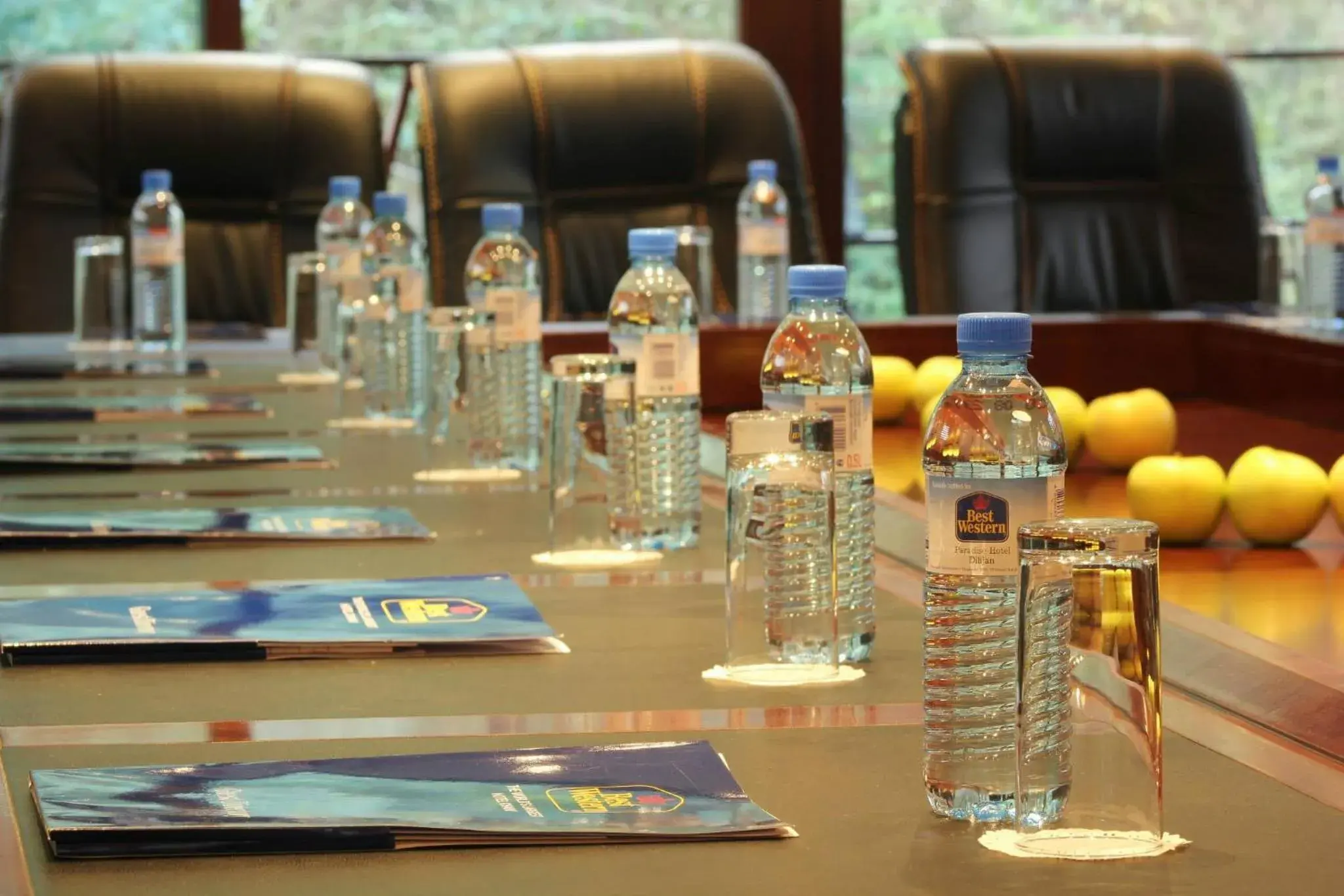 Meeting/conference room in Best Western Plus Paradise Hotel Dilijan