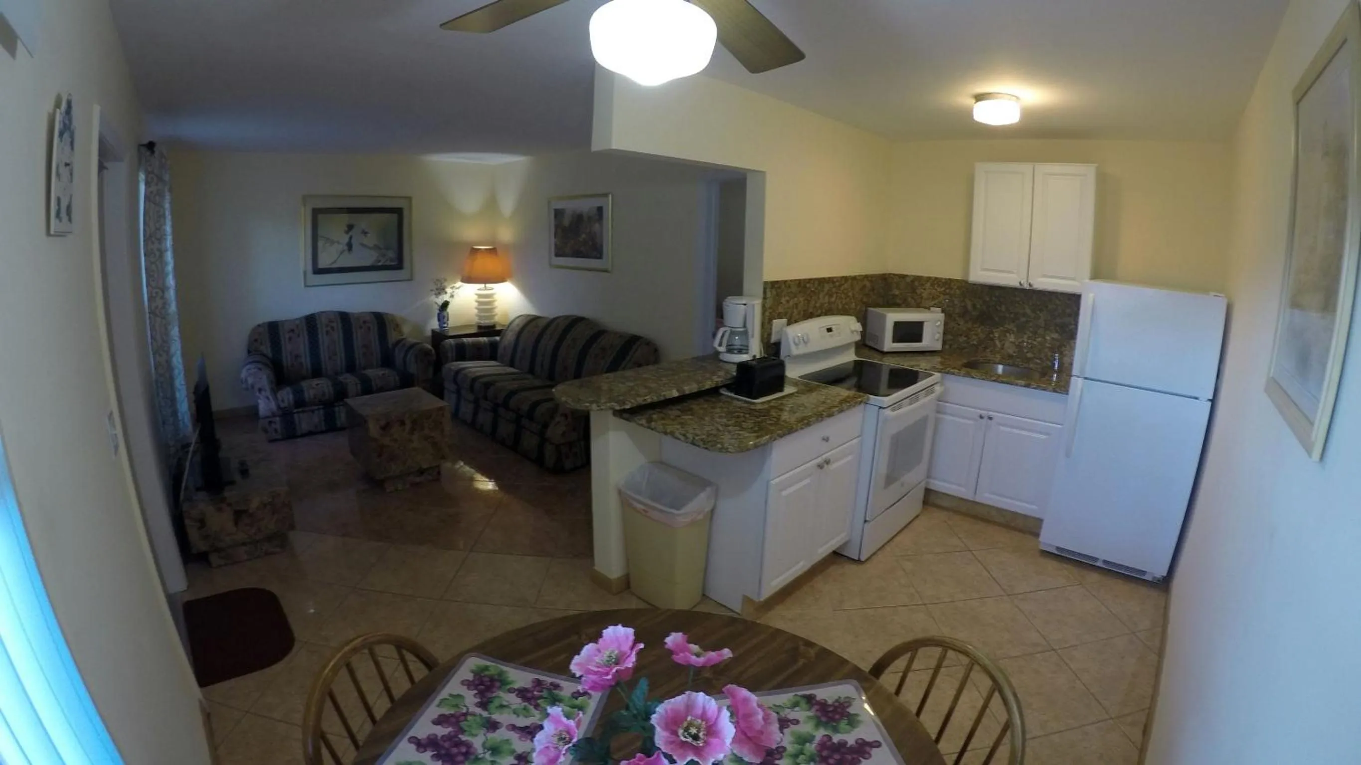 Kitchen or kitchenette in Lago Mar Motel and Apartments