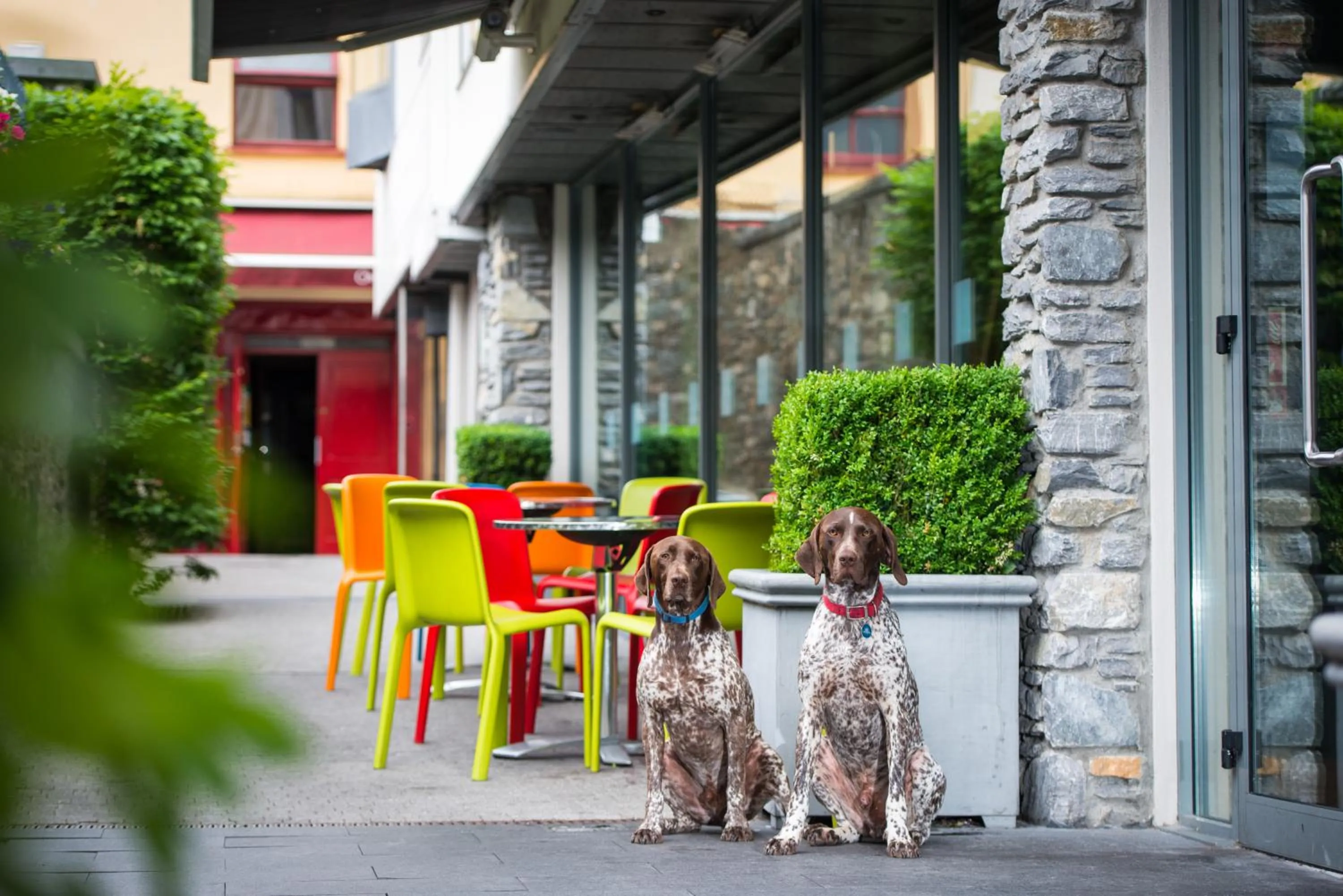 Balcony/Terrace in The Ross