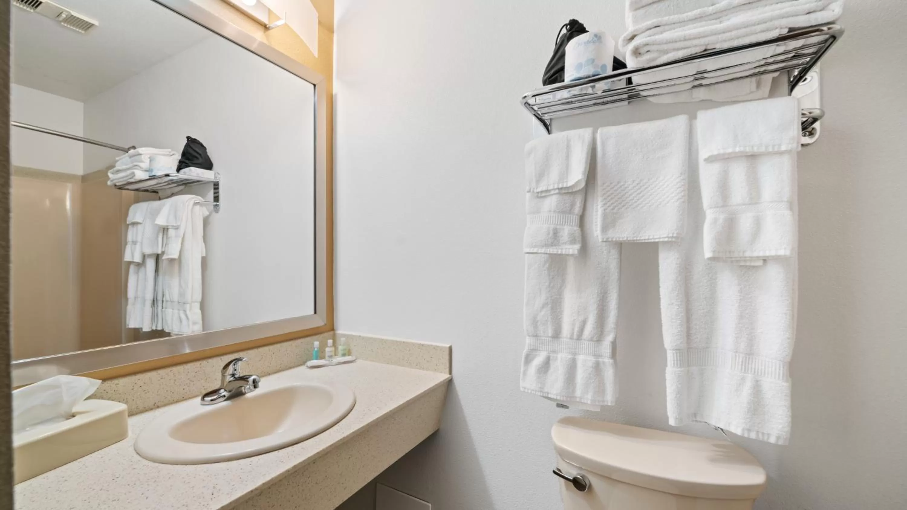 Bathroom in Clarion Hotel & Suites Fairbanks near Ft Wainwright