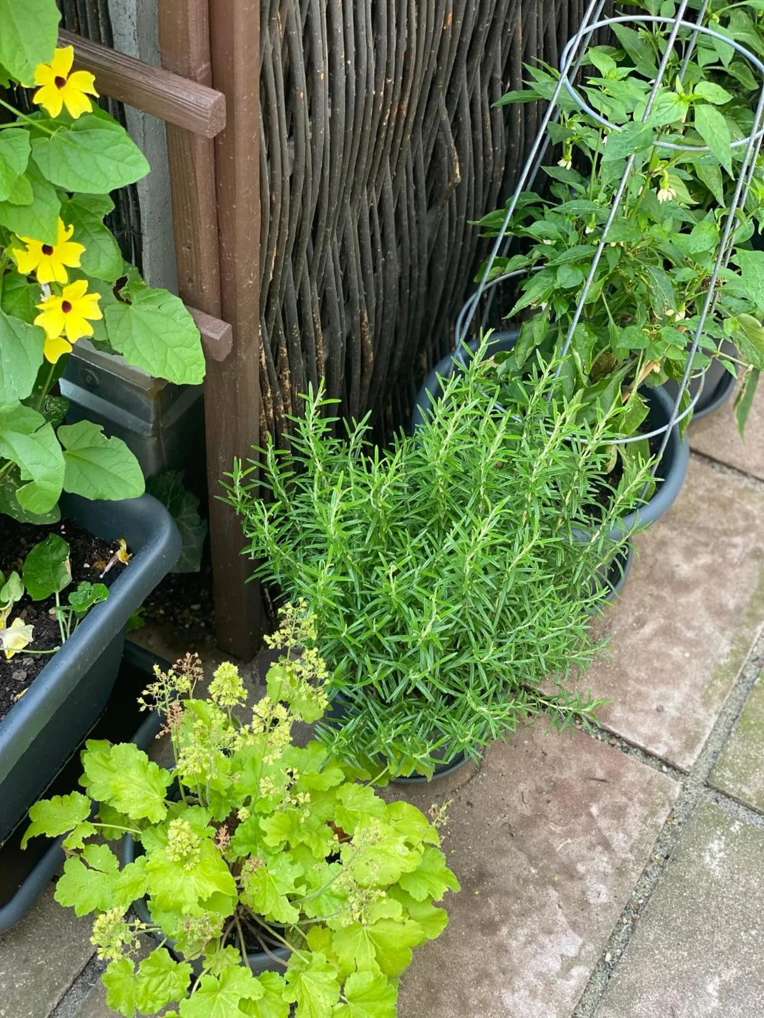 Patio in Burghotel Nürnberg