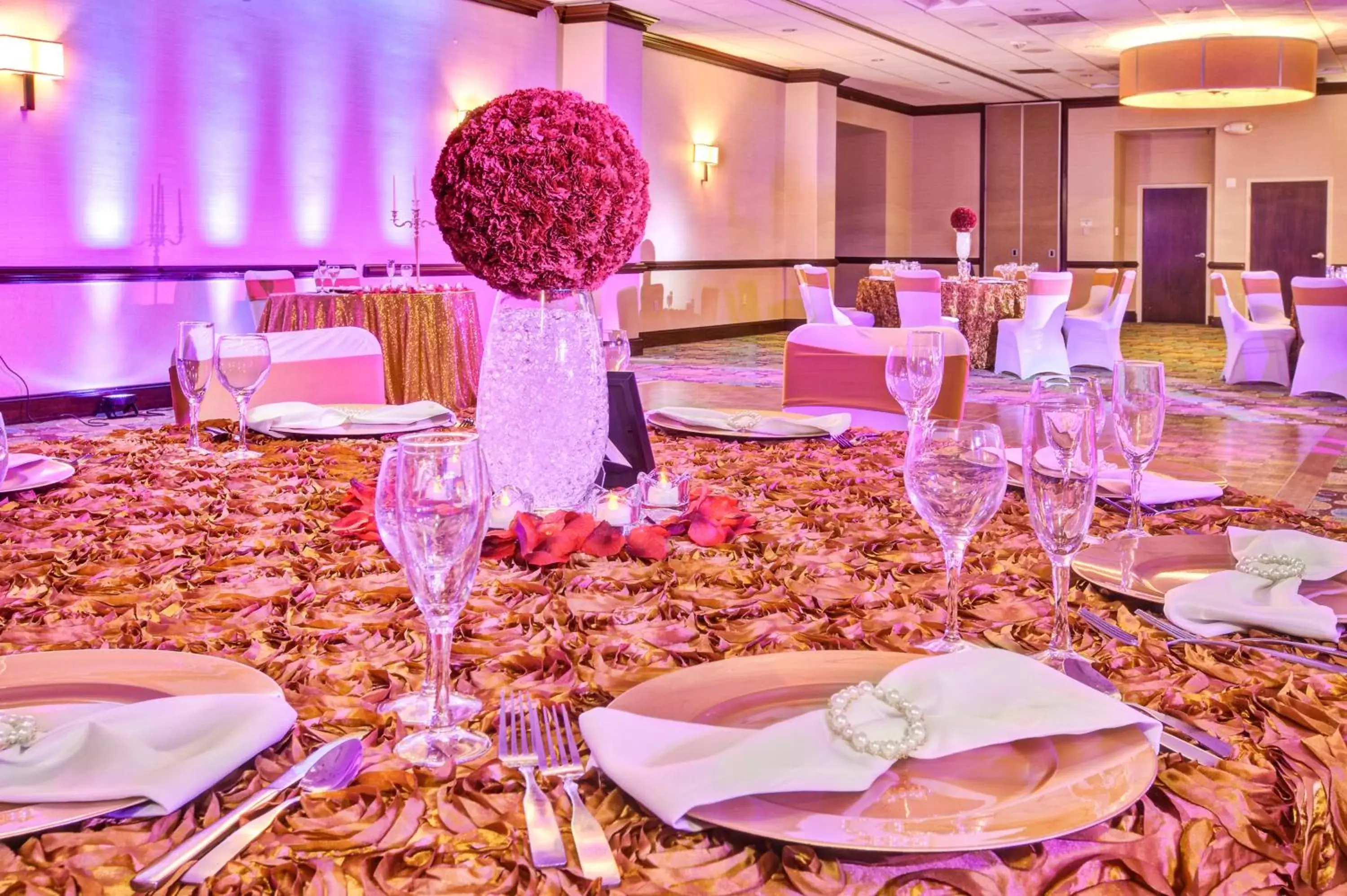 Banquet/Function facilities, Banquet Facilities in Holiday Inn National Airport/Crystal City, an IHG Hotel