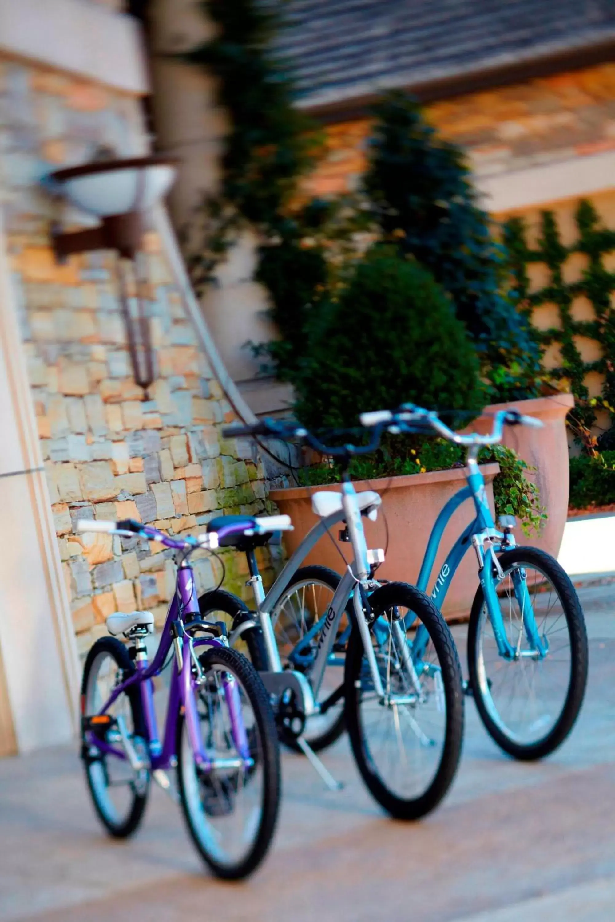 Cycling, Biking in Renaissance Birmingham Ross Bridge Golf Resort & Spa