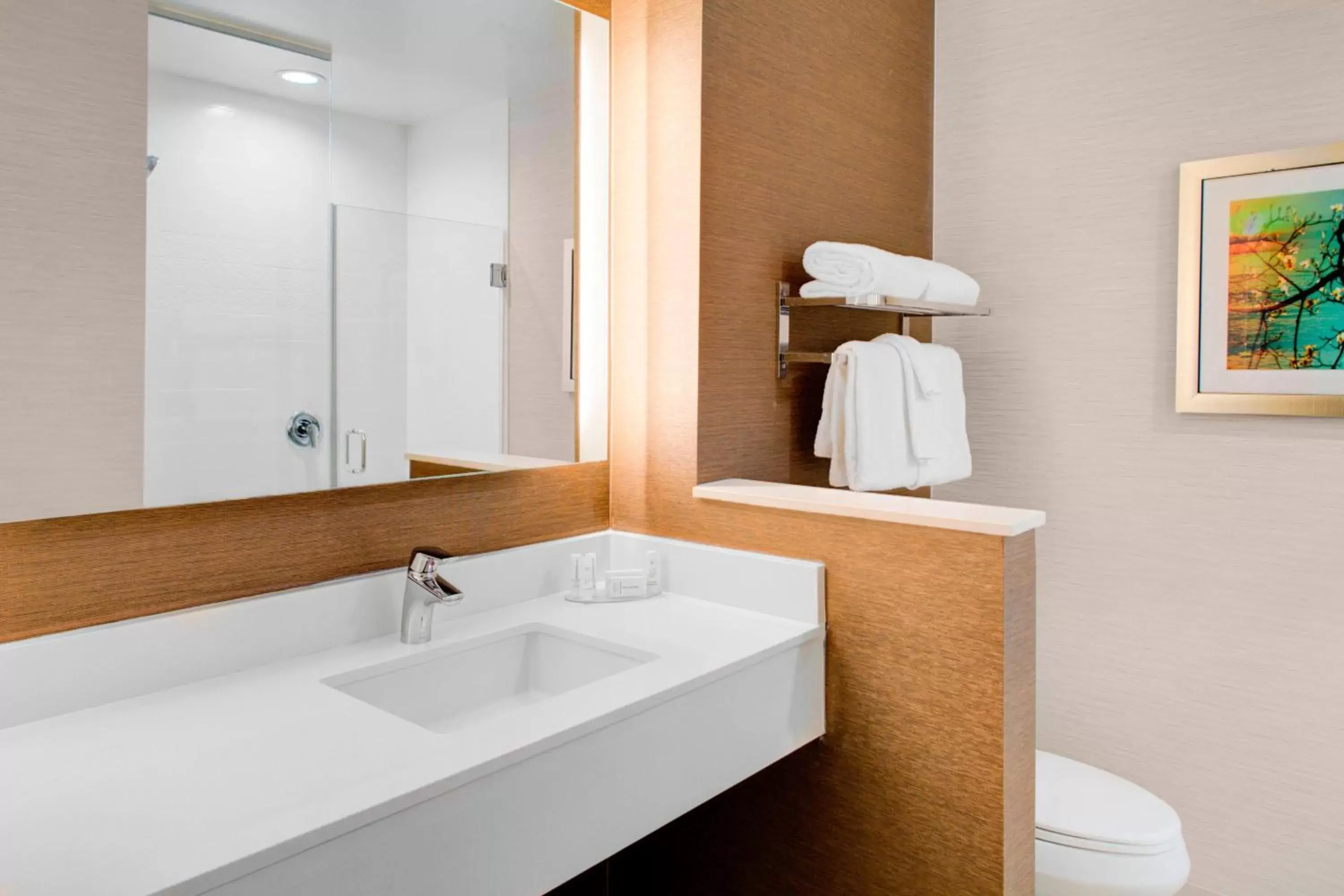 Bathroom in Fairfield Inn & Suites by Marriott Bakersfield North/Airport