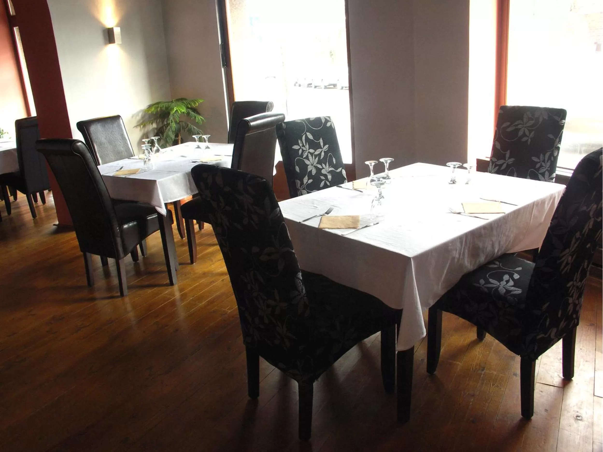 Restaurant/places to eat in Hotel Saloon