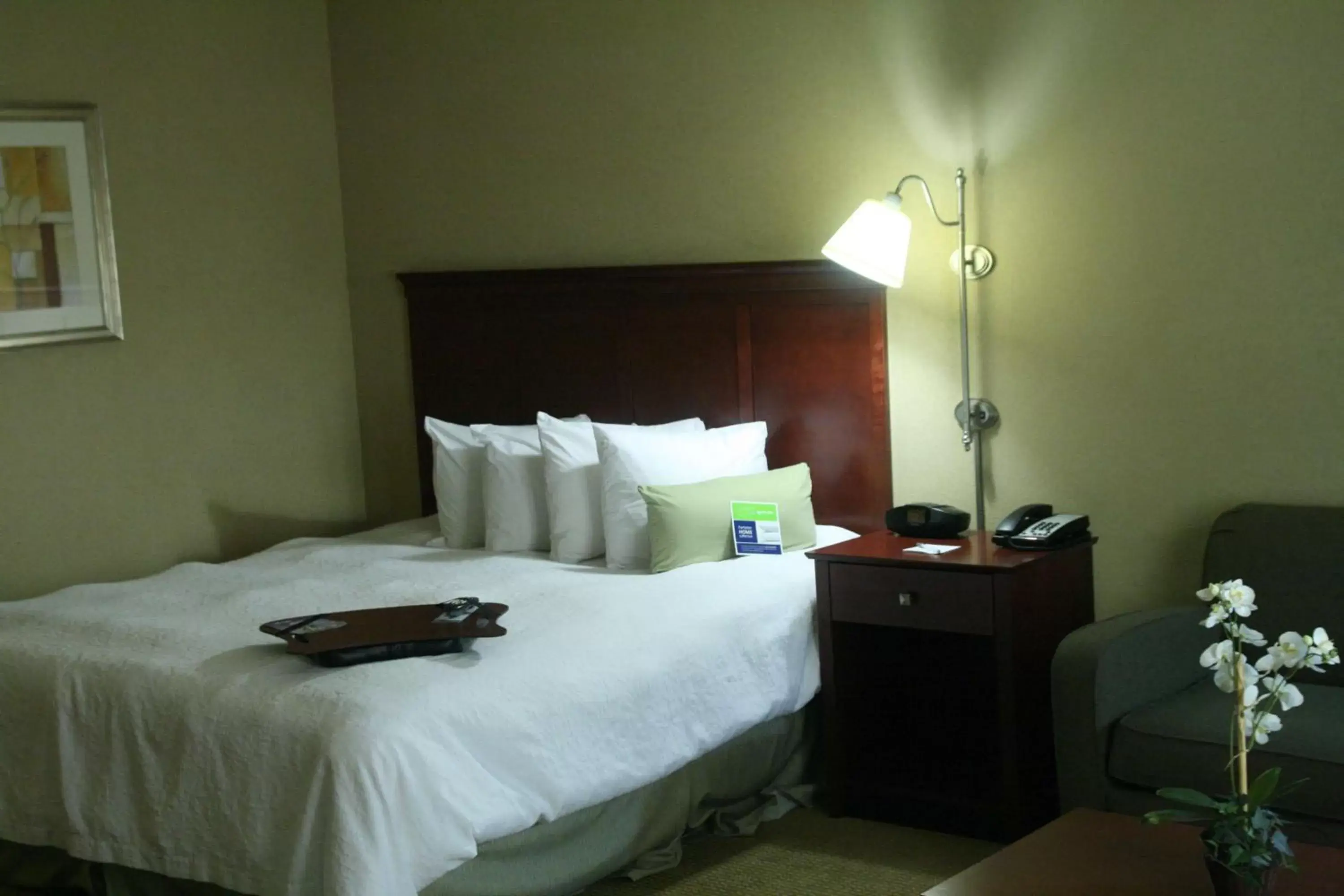 Bedroom, Bed in Hampton Inn & Suites Abilene I-20