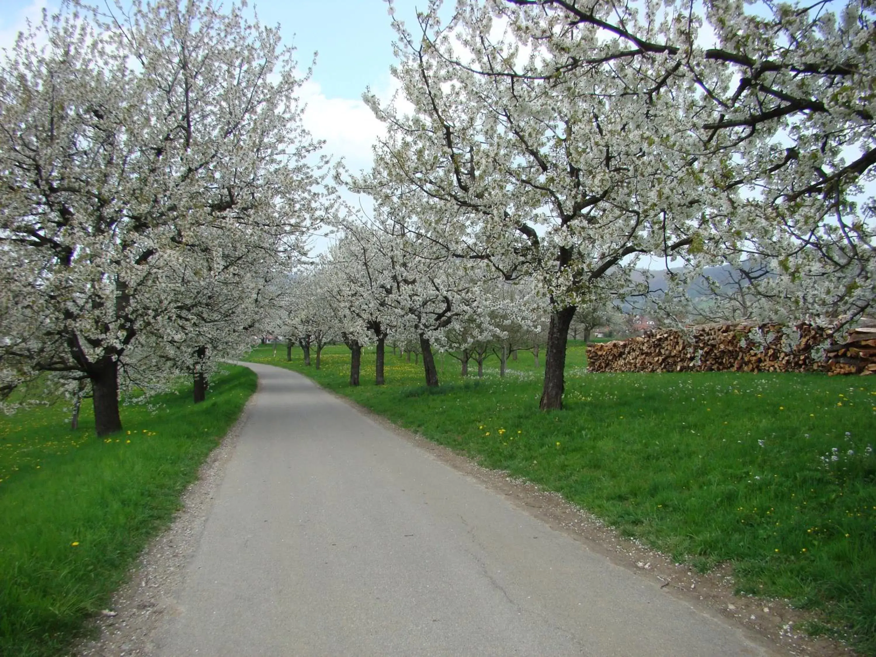 Spring, Garden in Hotel Graf Eberhard