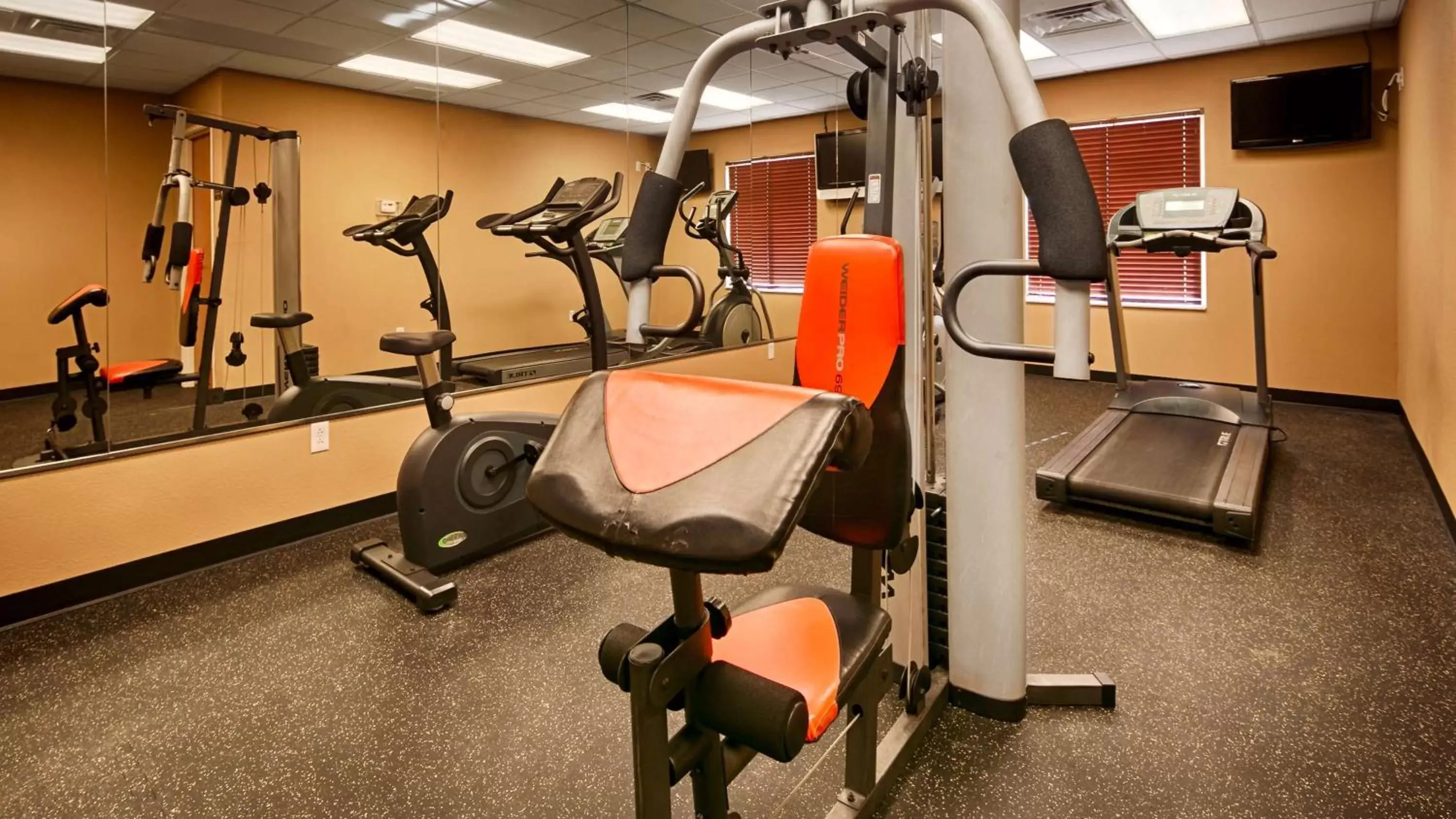 Fitness centre/facilities, Fitness Center/Facilities in Best Western Plus Pontoon Beach