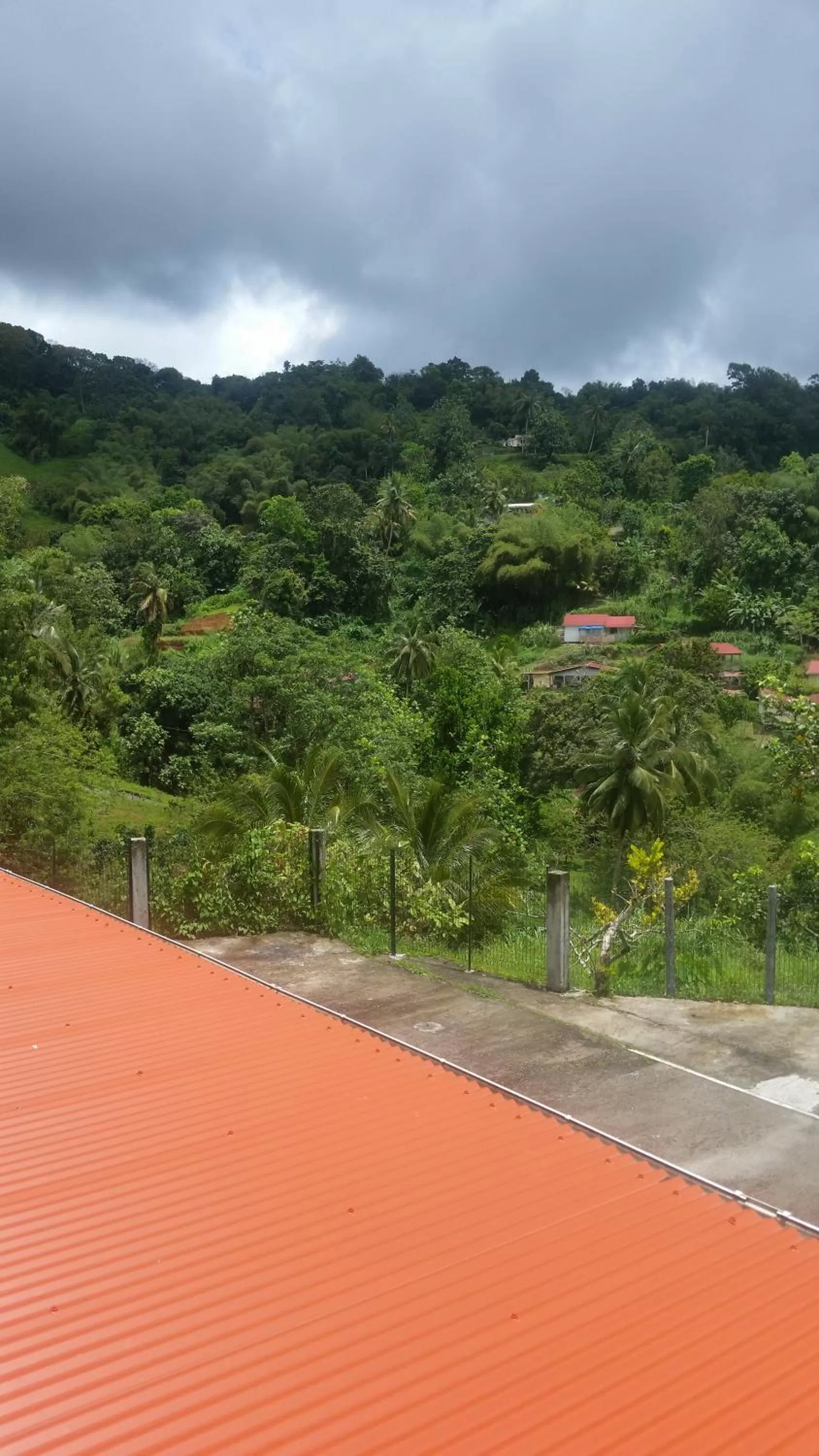 Other in L'Oliveraie