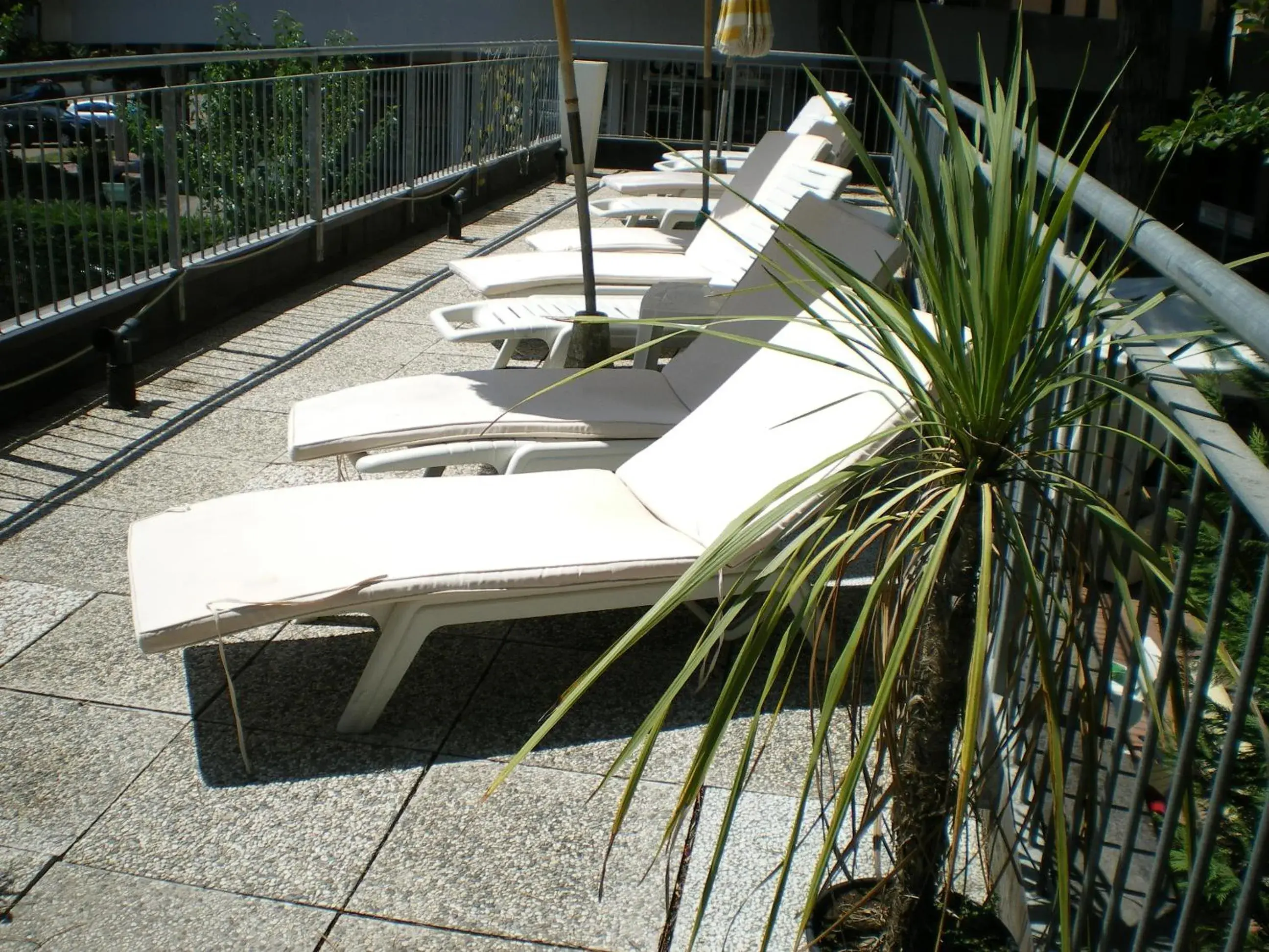 Swimming pool in Hotel Logonovo